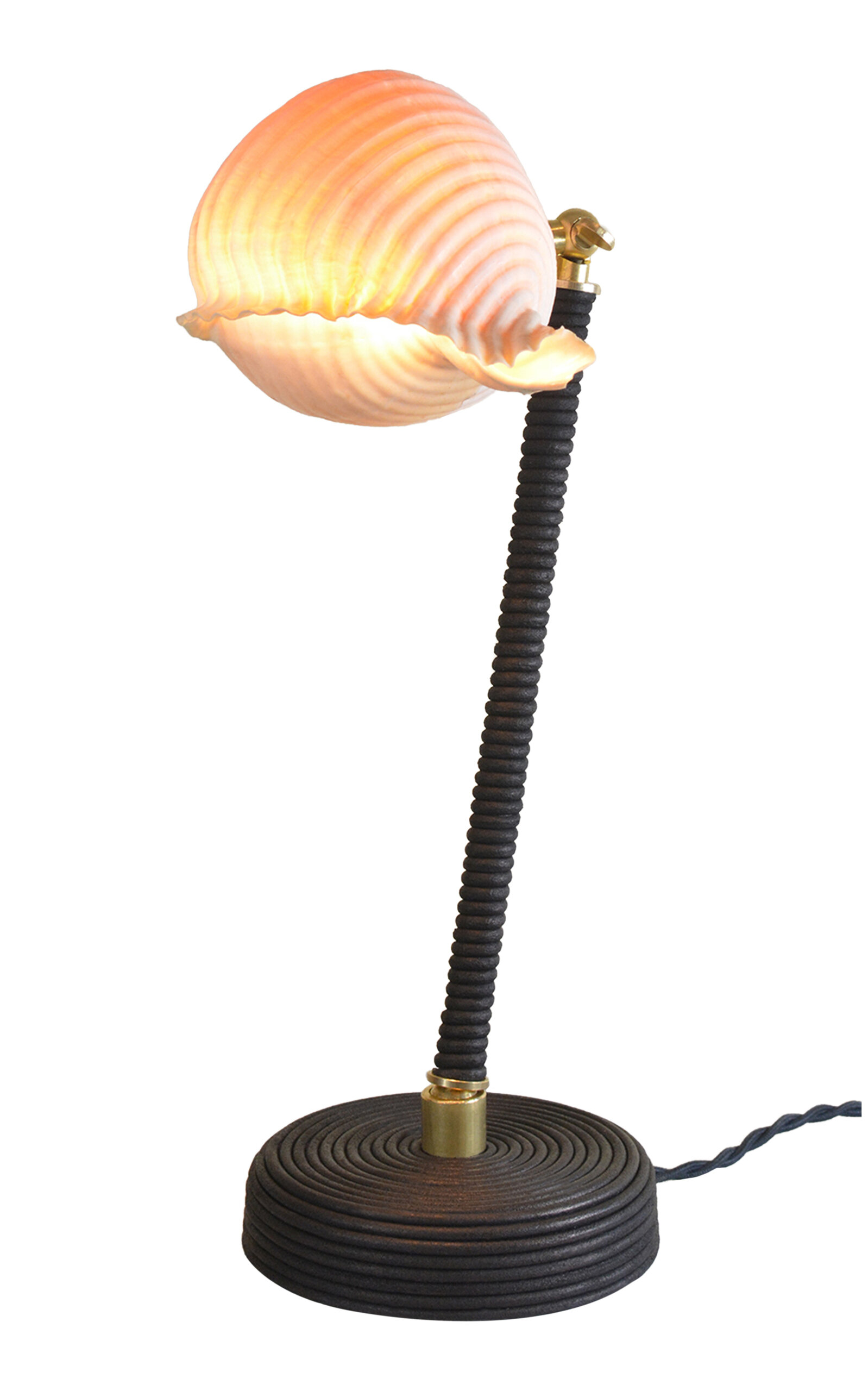 Tennant New York L'escargot Lamp In Black,white