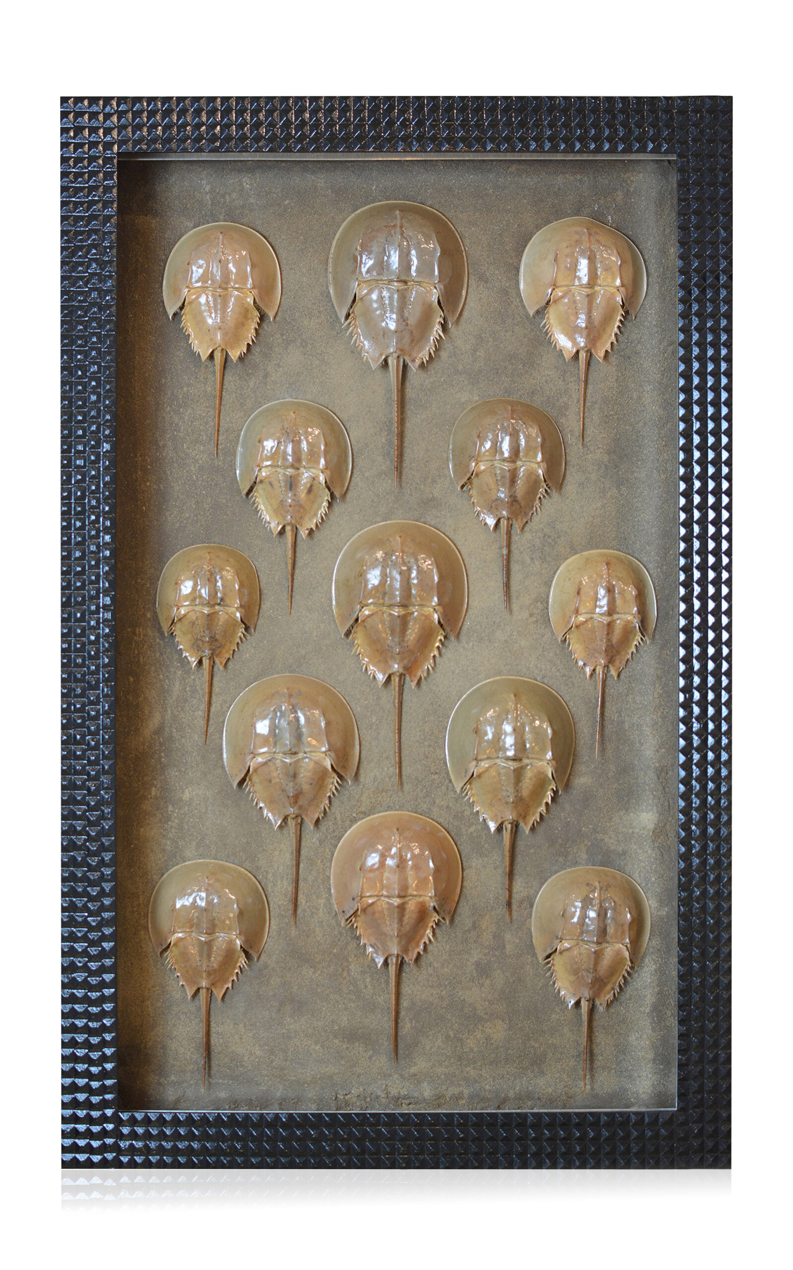 Tennant New York Drones; Illuminated Vitrine Artwork - Multi