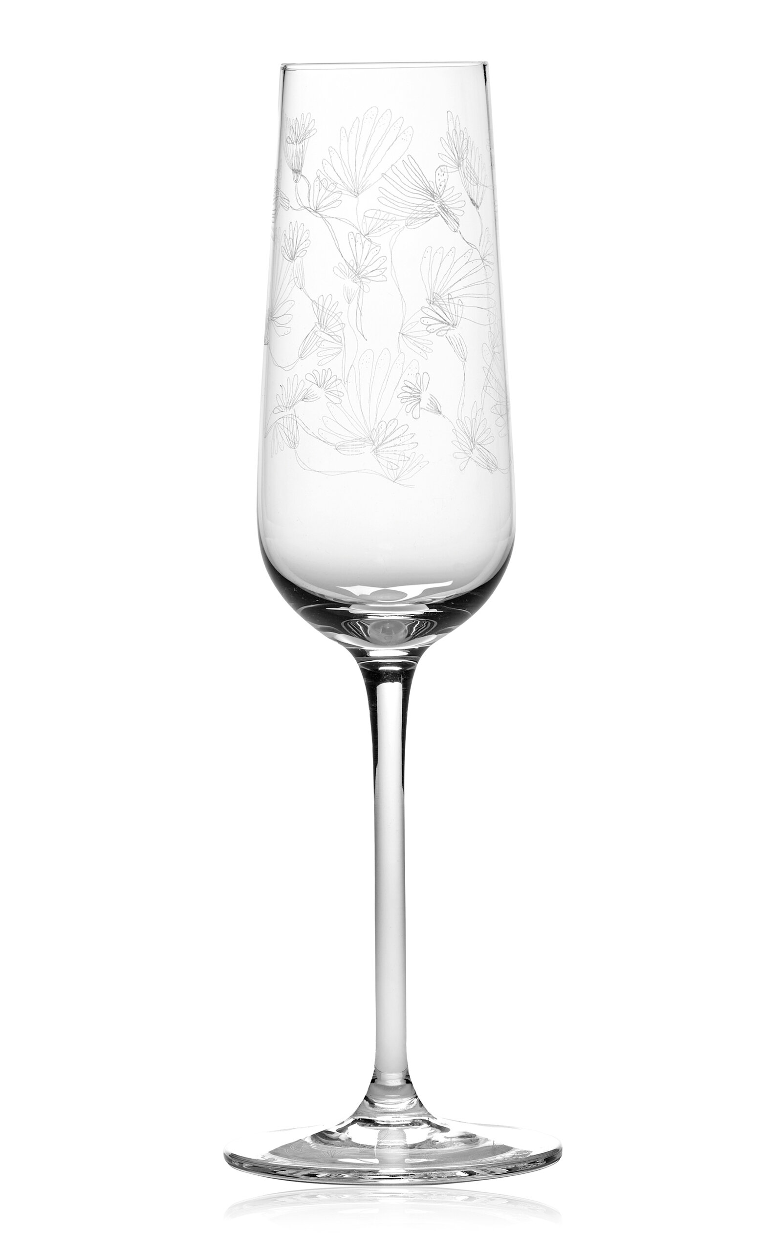 Marni For Serax Serax Marni Midnight Flowers Champagne Flute Camelia Aubergine In Transparent