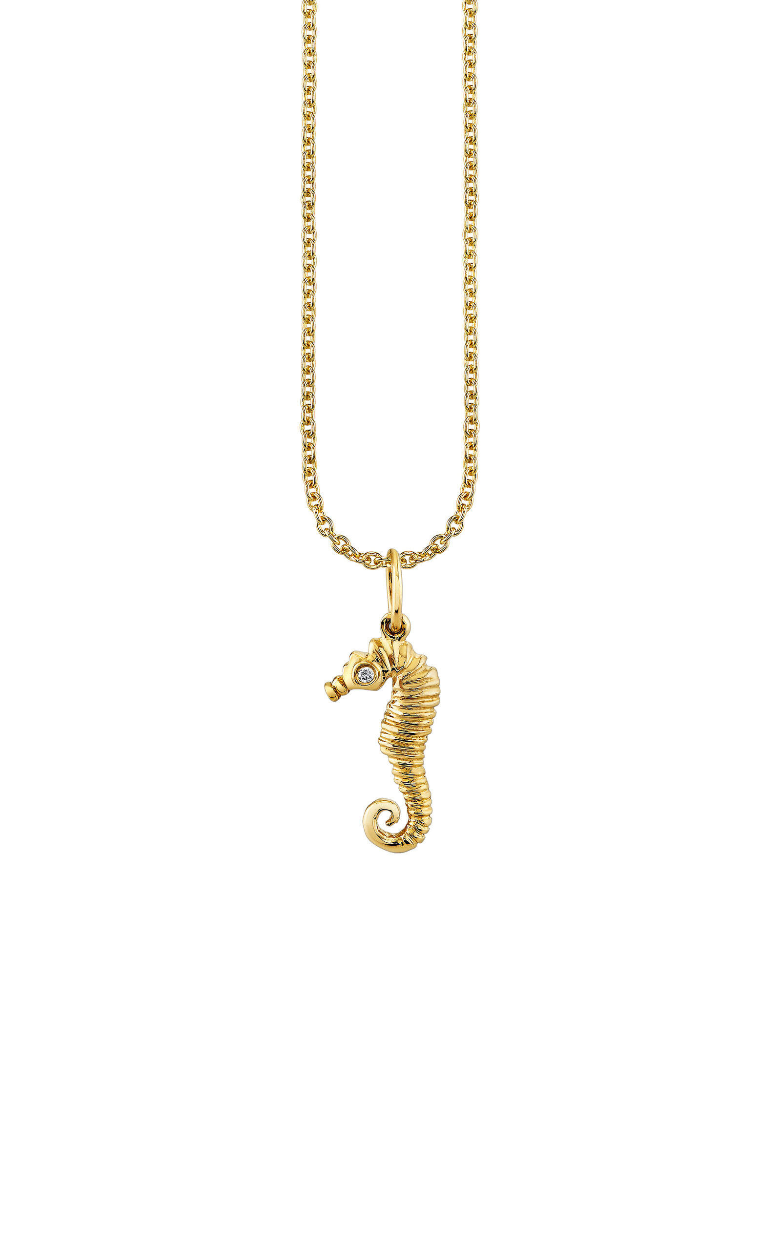 Shop Sydney Evan 14k Yellow Gold Small Seahorse Charm Necklace