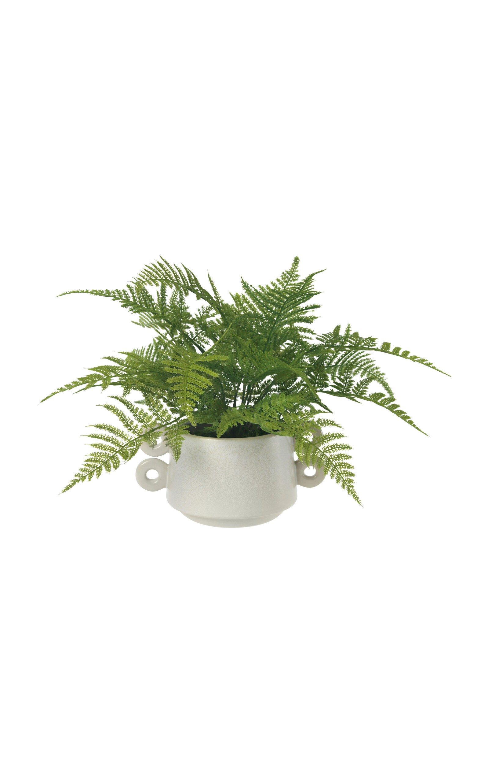 Diane James Designs Small Fern In Ceramic Pot In Green