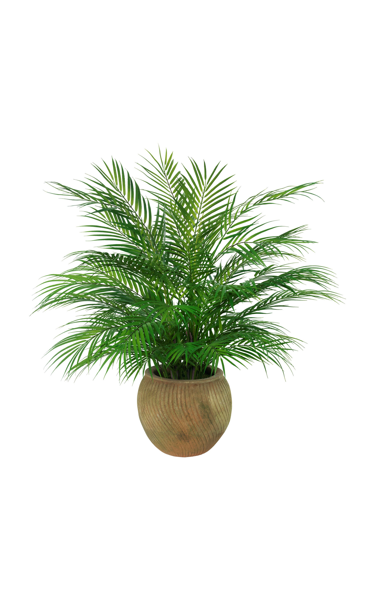 Diane James Designs Diane James Designs Others - Green