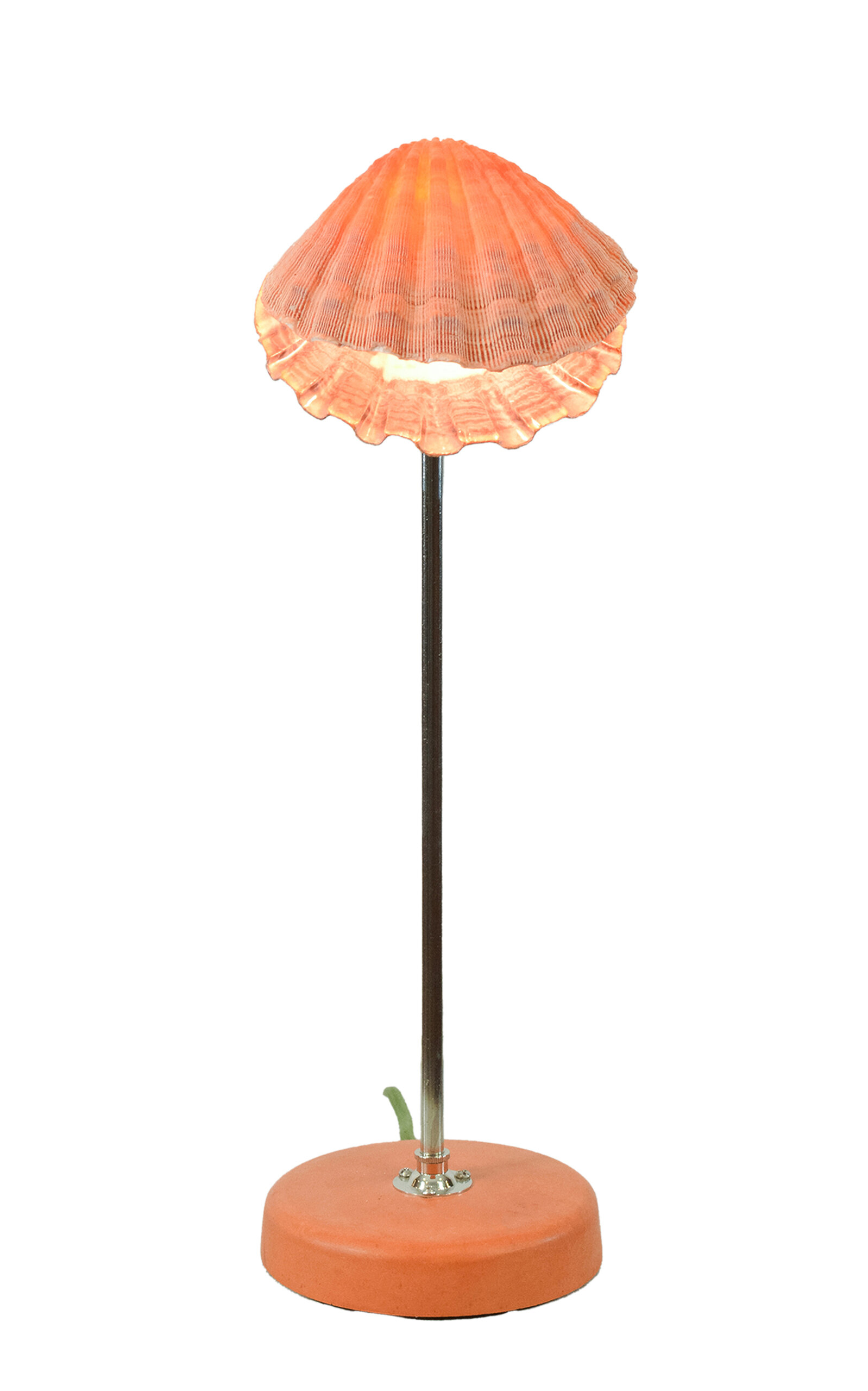 Tennant New York Lion's Paw Table Lamp In Orange