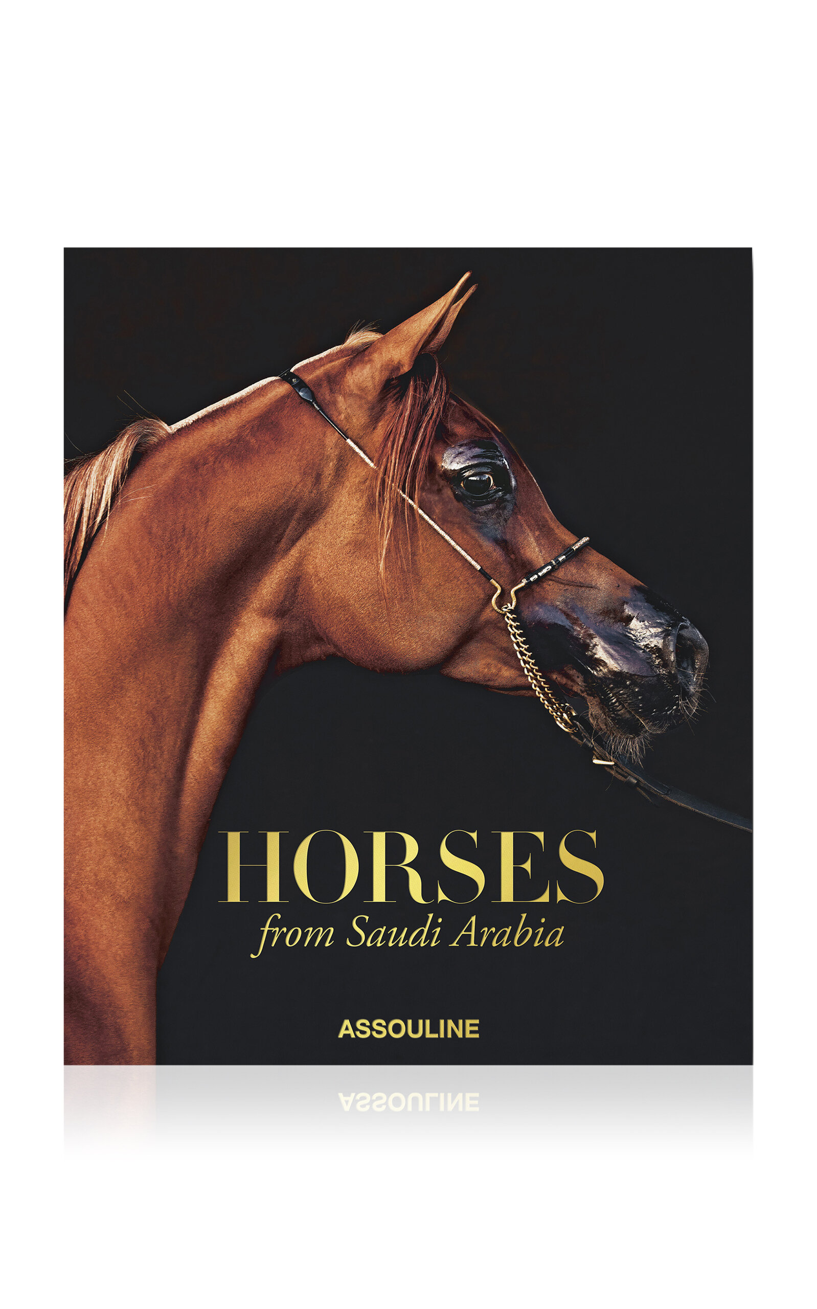 Assouline Horses From Saudi Arabia Book By Debbie Burt In Multi