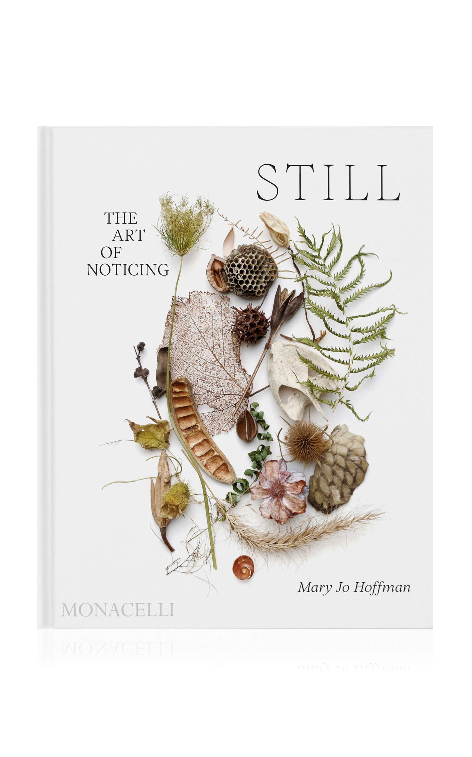 Phaidon Still: The Art Of Noticing In White