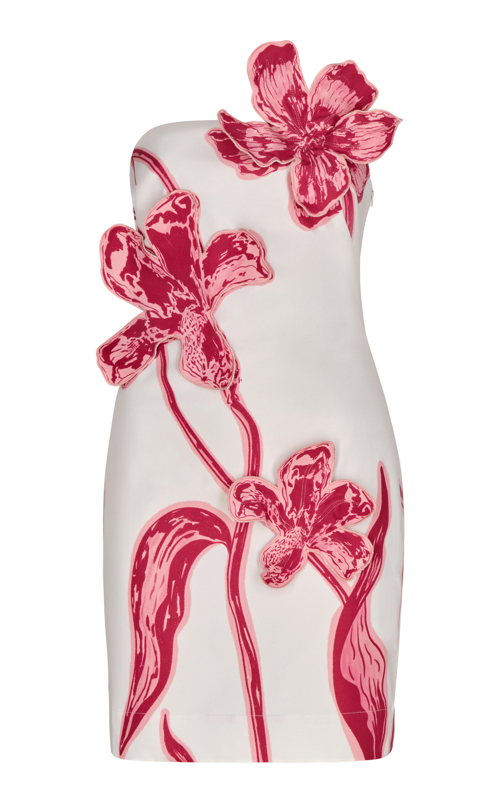 Andres Otalora Origen Esencial Embroidered Cotton Mini Dress In Floral