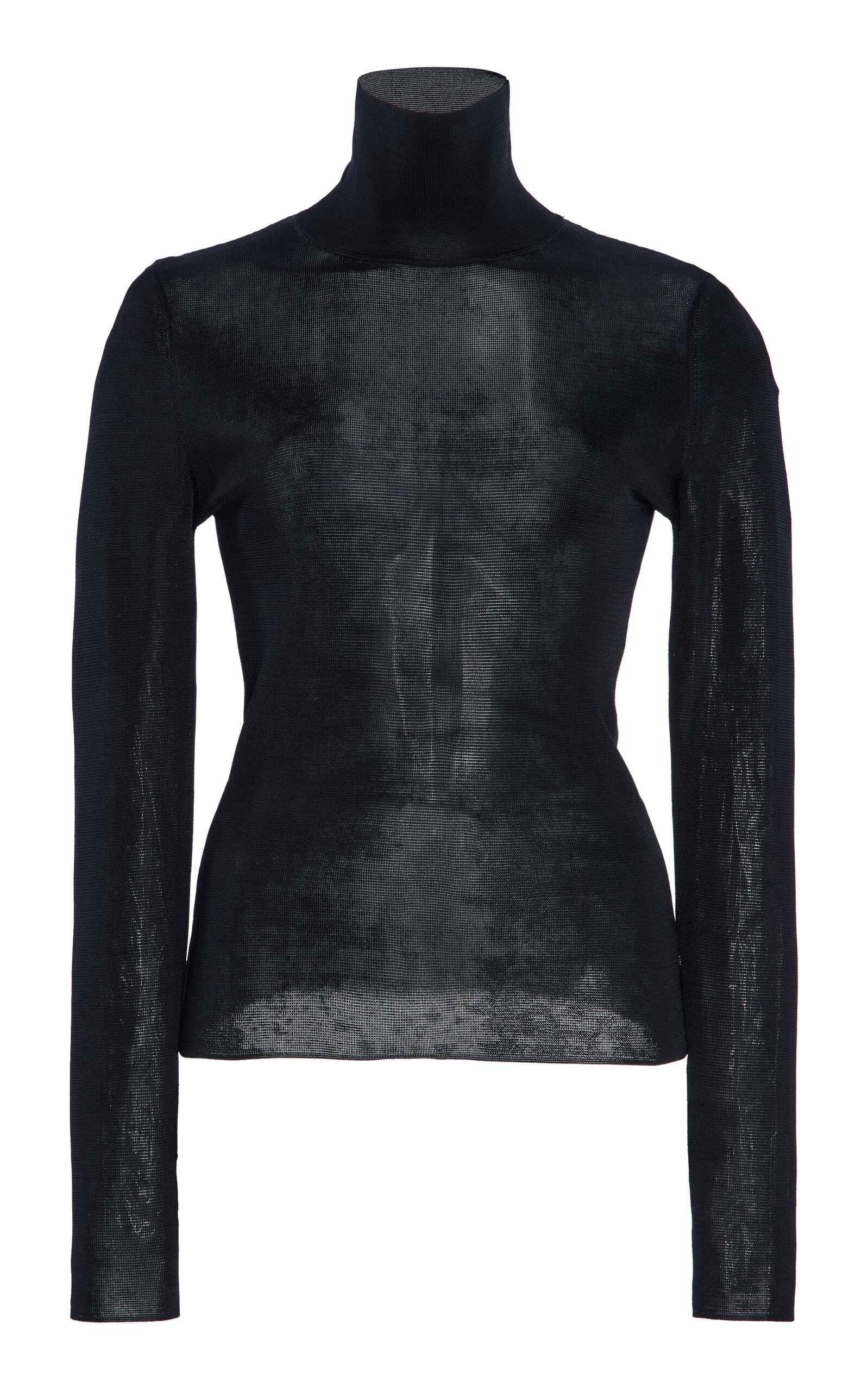 Carolina Herrera Sheer Turtleneck Sweater In Black