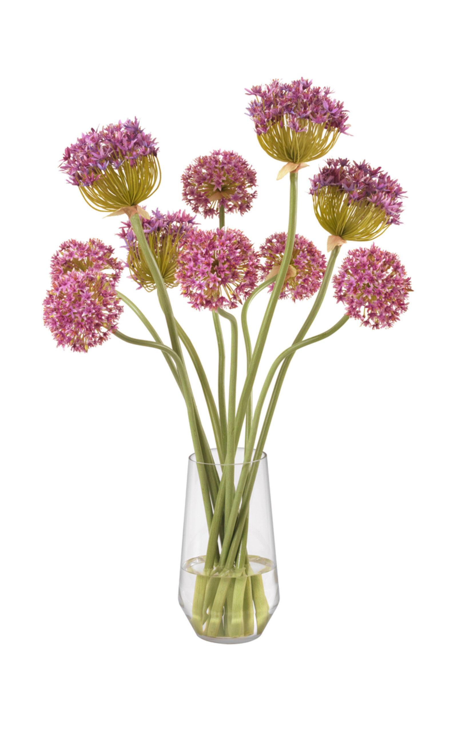 Diane James Designs Purple Allium In Tall Glass Vase In Purple