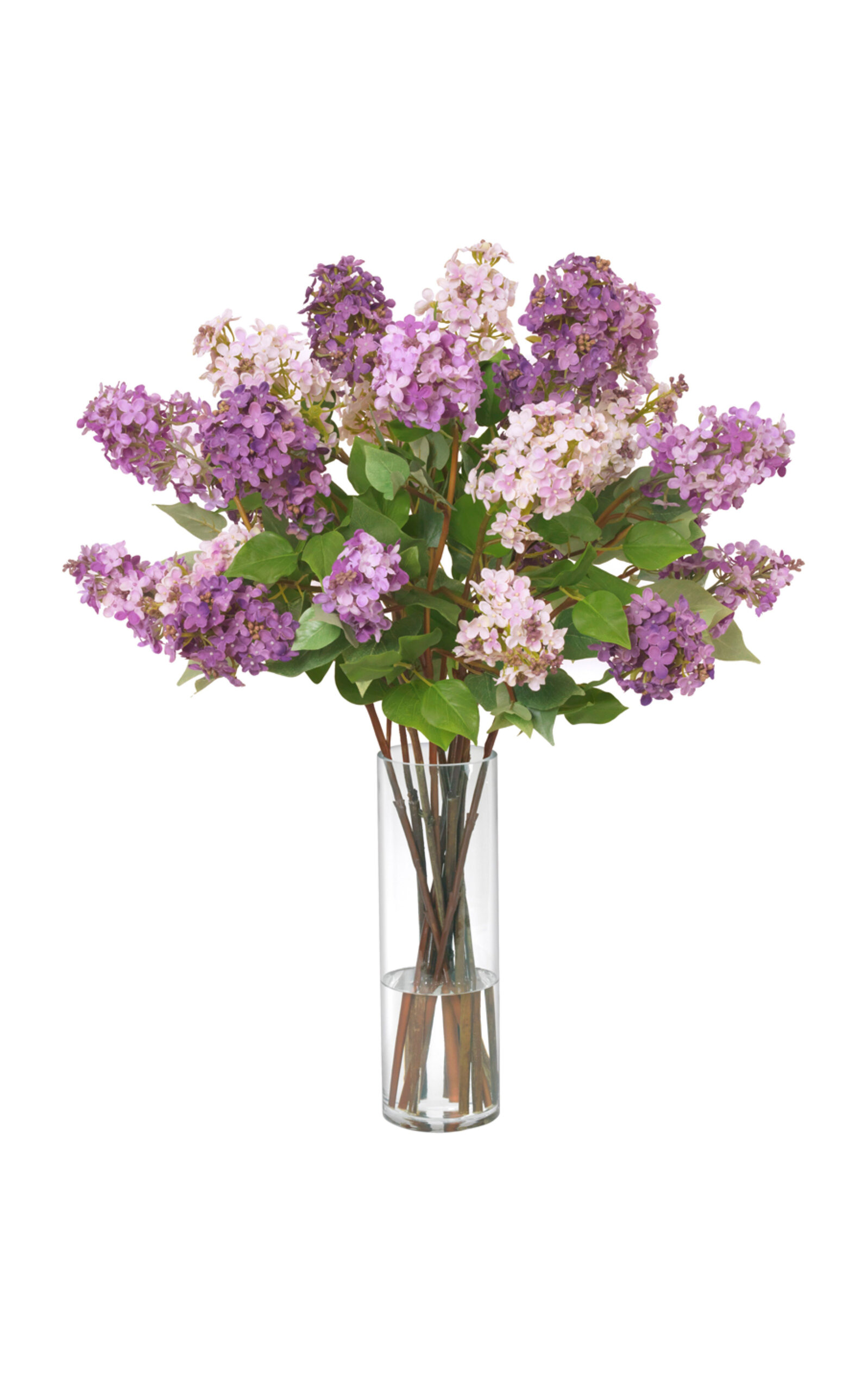 Diane James Designs Purple Lilacs In Tall Glass Cylinder In Purple
