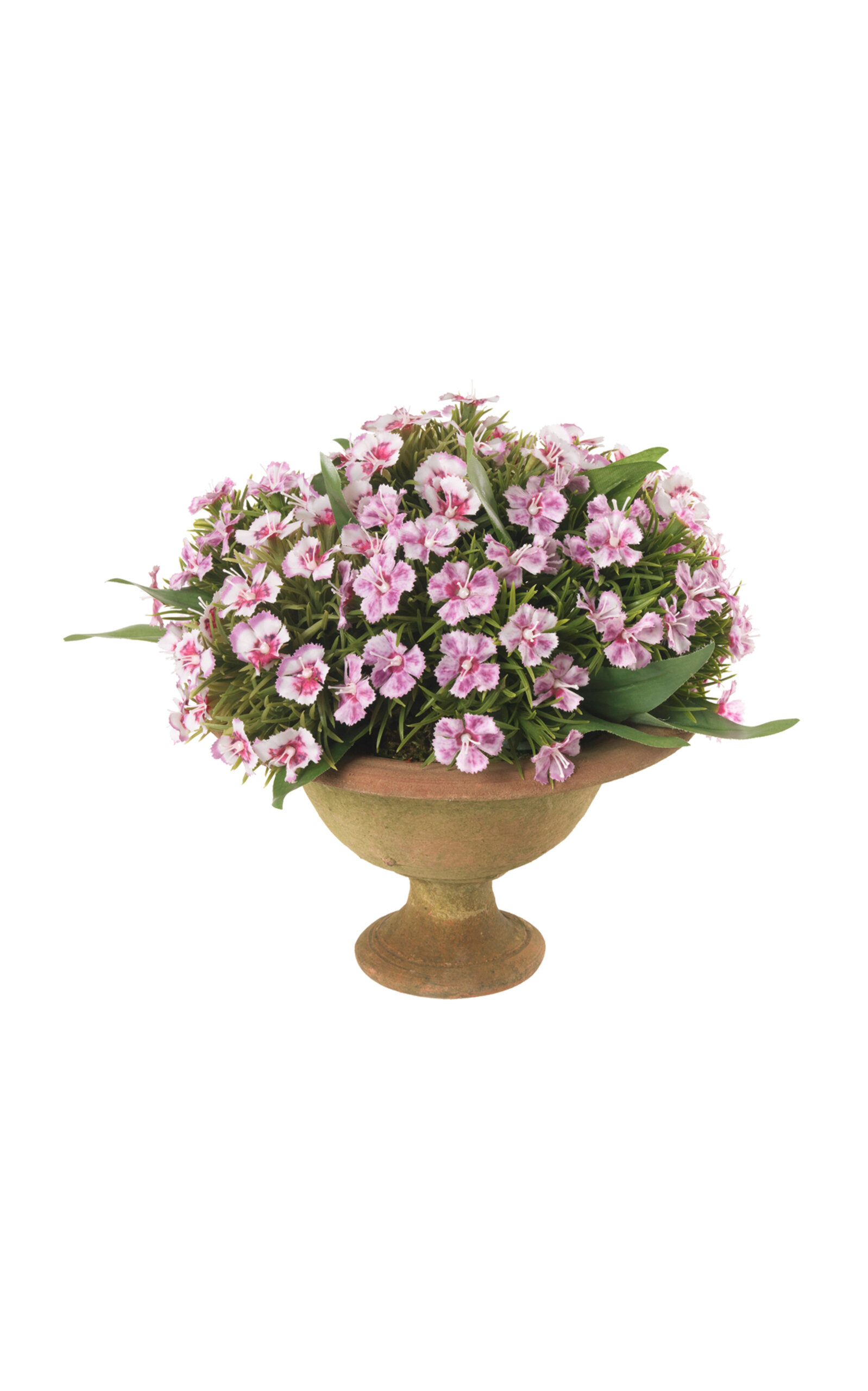 Diane James Designs Dainthus In Mossy Bowl In Purple