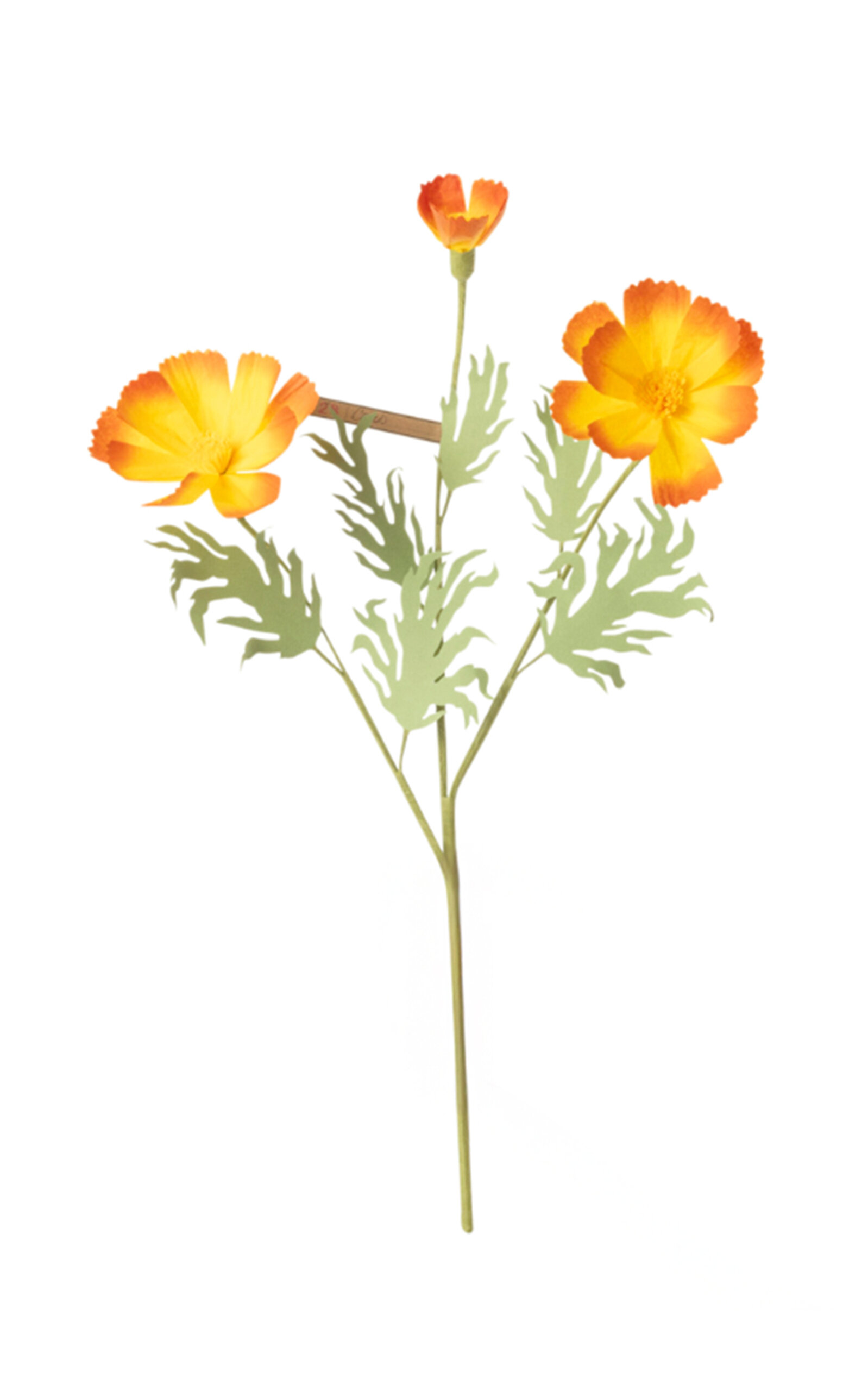 The Green Vase Paper Cosmo Stem - Yellow