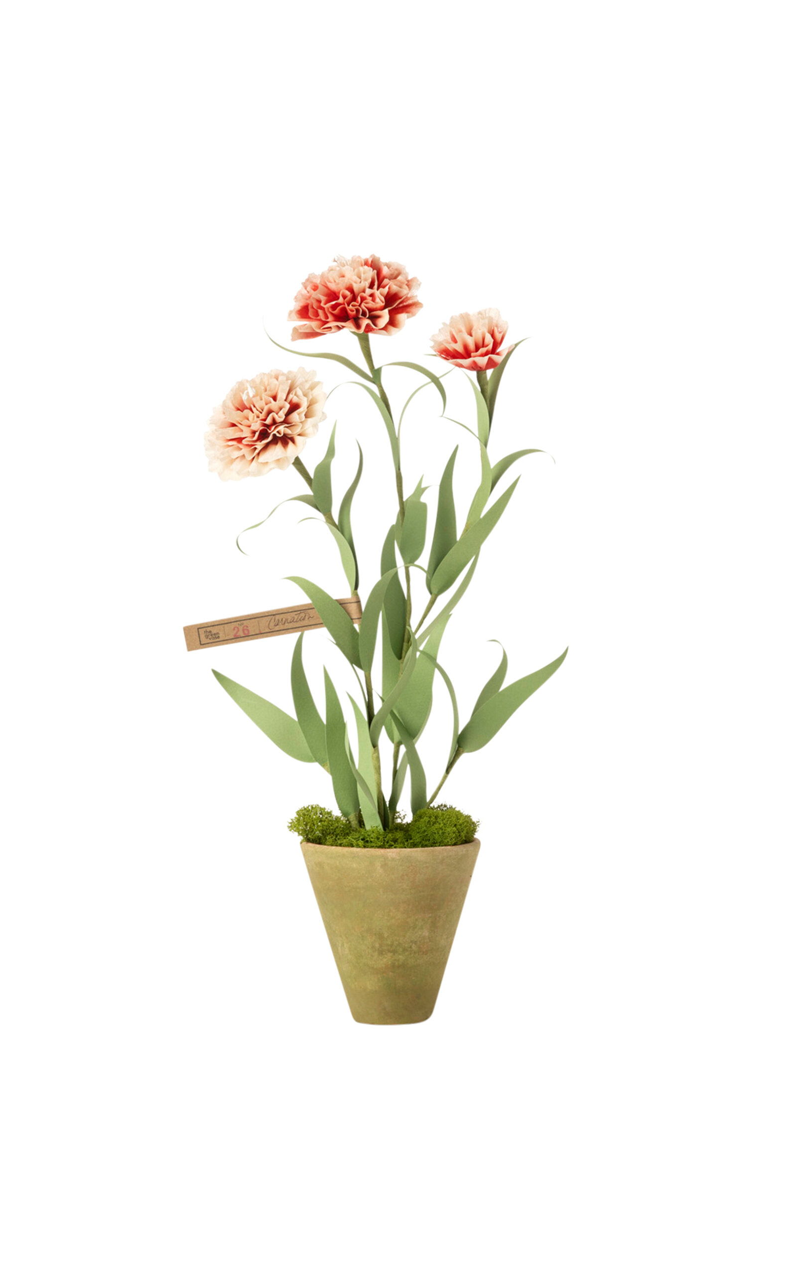 The Green Vase Carnation Paper Plant - Red