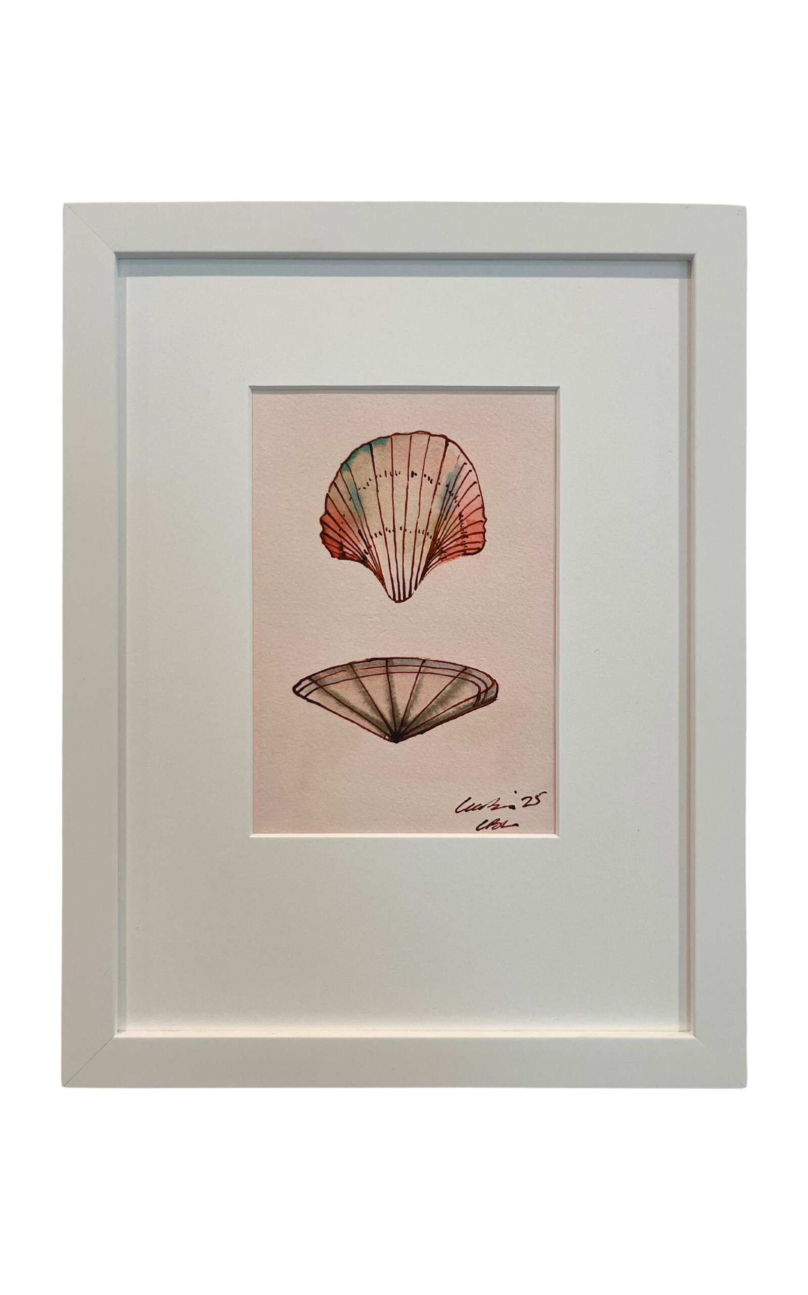 Lia Burke Libaire Shell Pair on Blush 1 - Multi