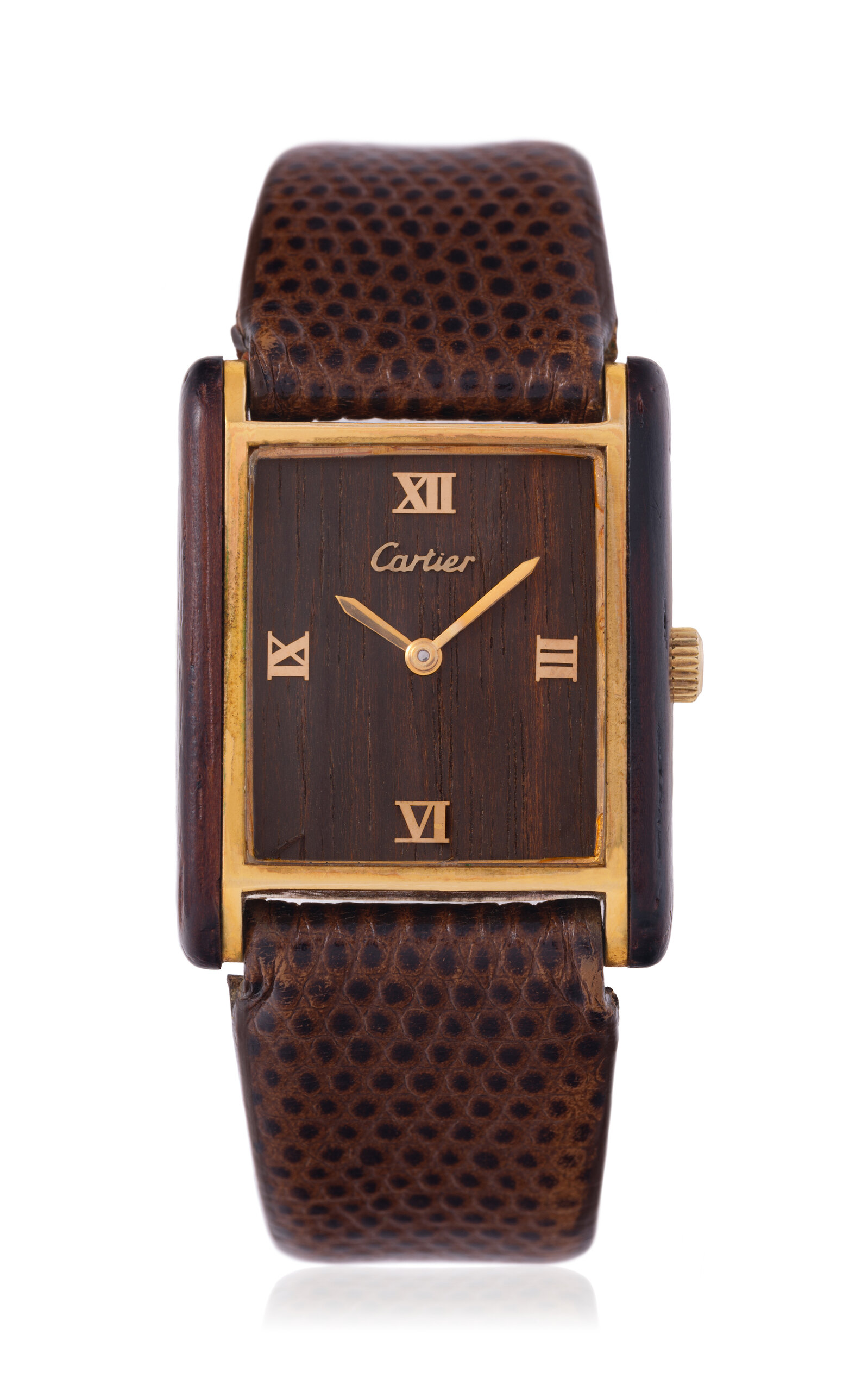 Stephanie Windsor Must De Cartier Rare Vintage Watch