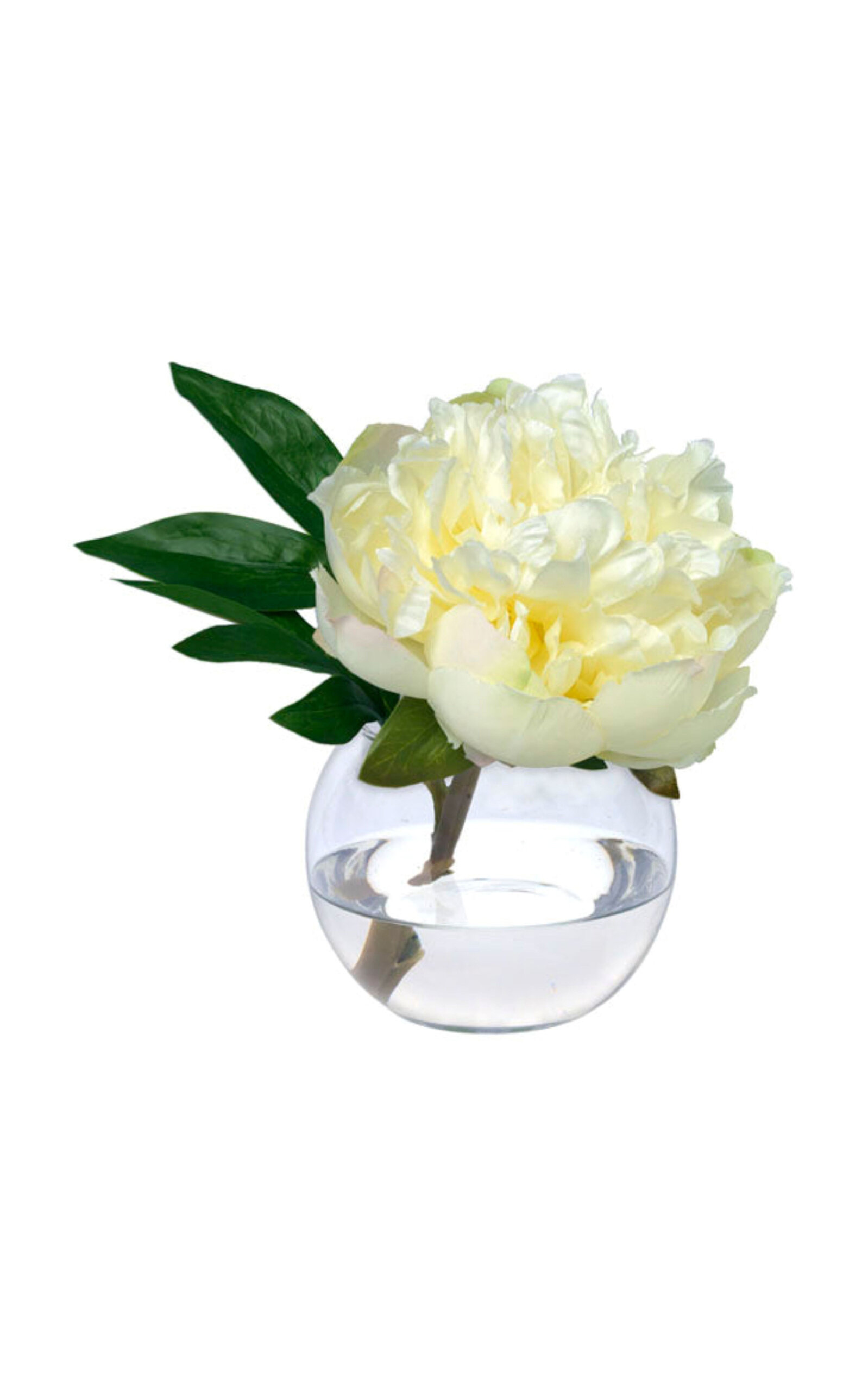 Diane James Designs Cream Peony Vase - White