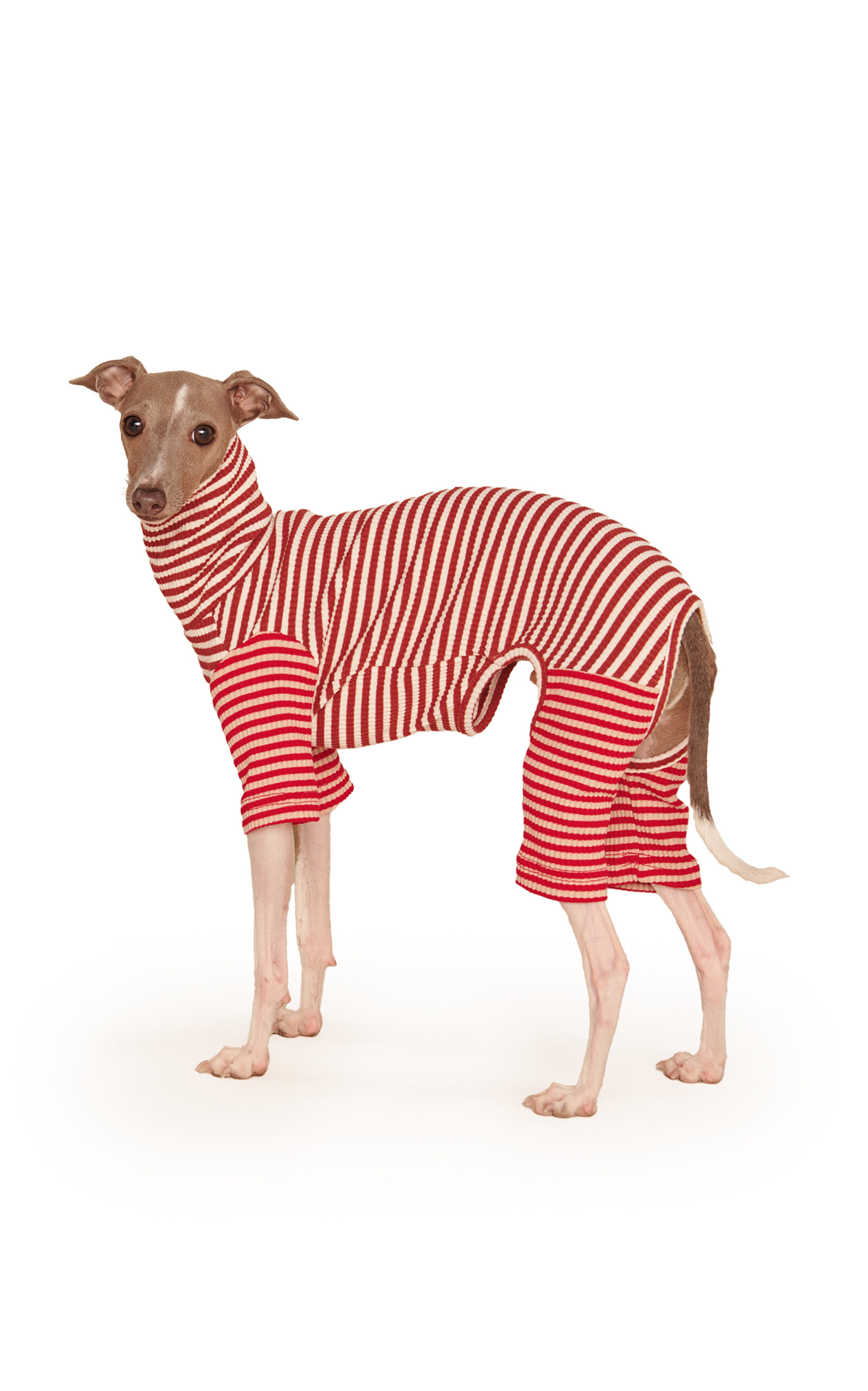 Little Beast Stretch-Cotton Dog Onesie - Stripe