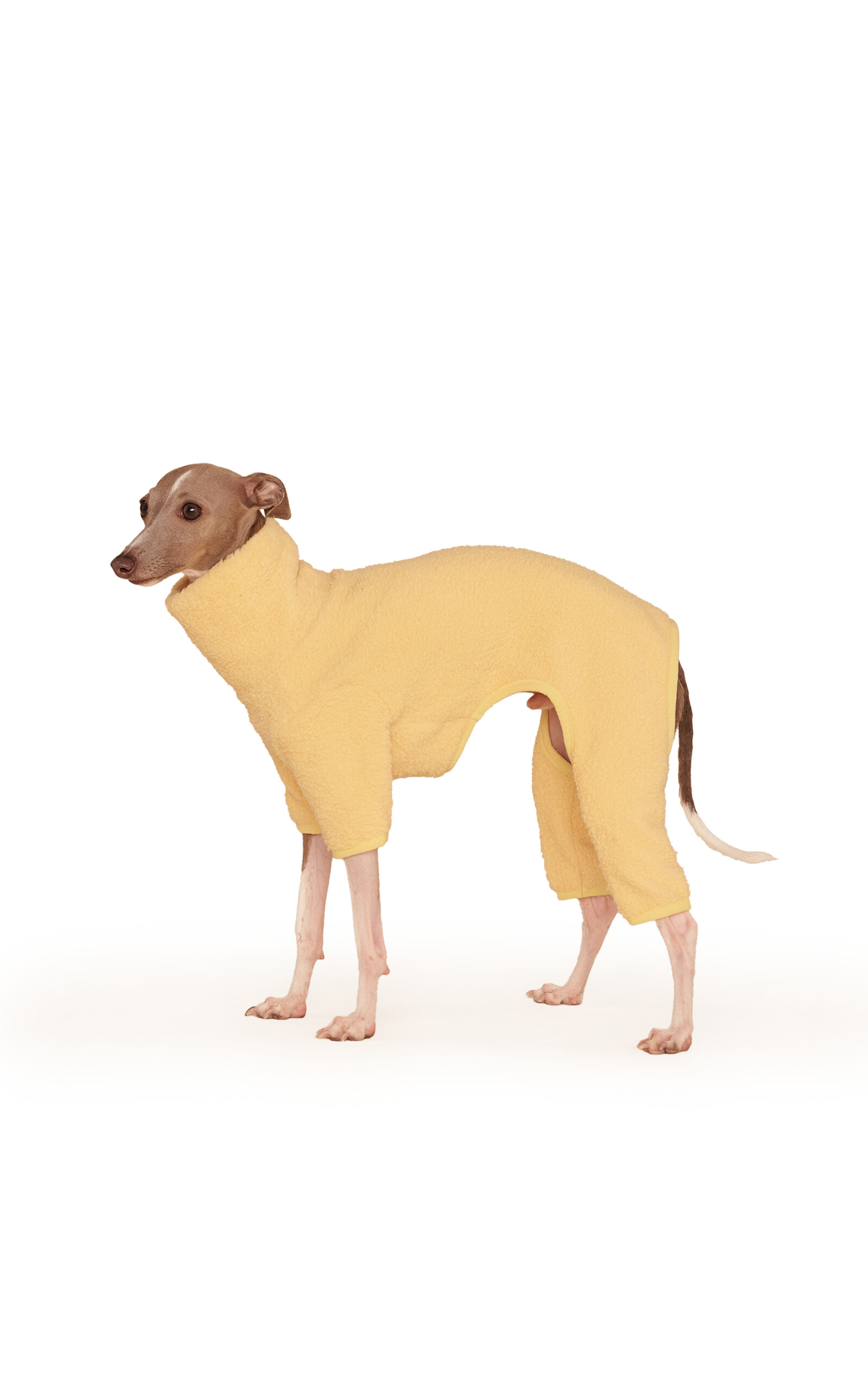 Little Beast Fleece Dog Onesie - Yellow
