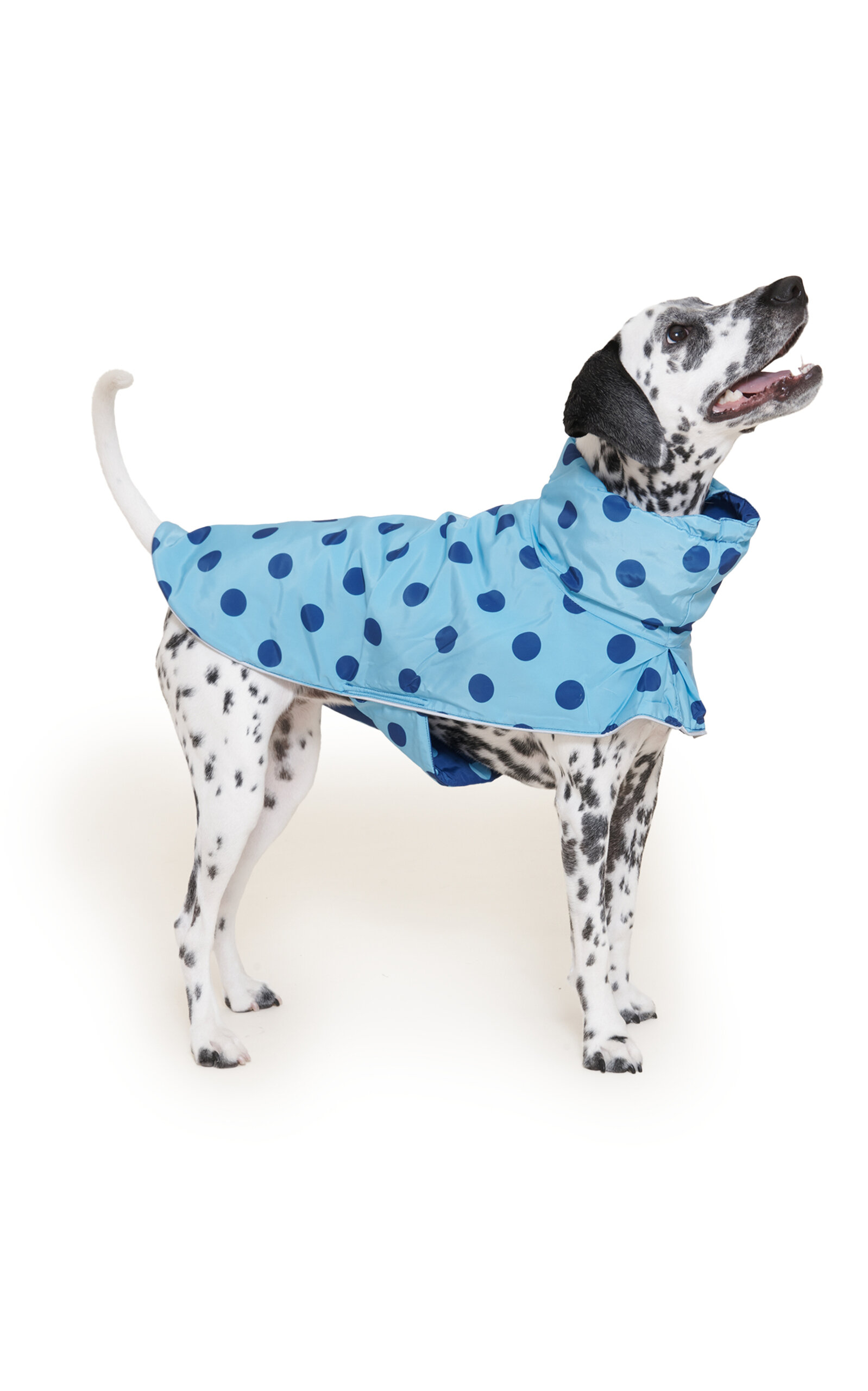 Little Beast The Blue Dot Raincoat In Blue