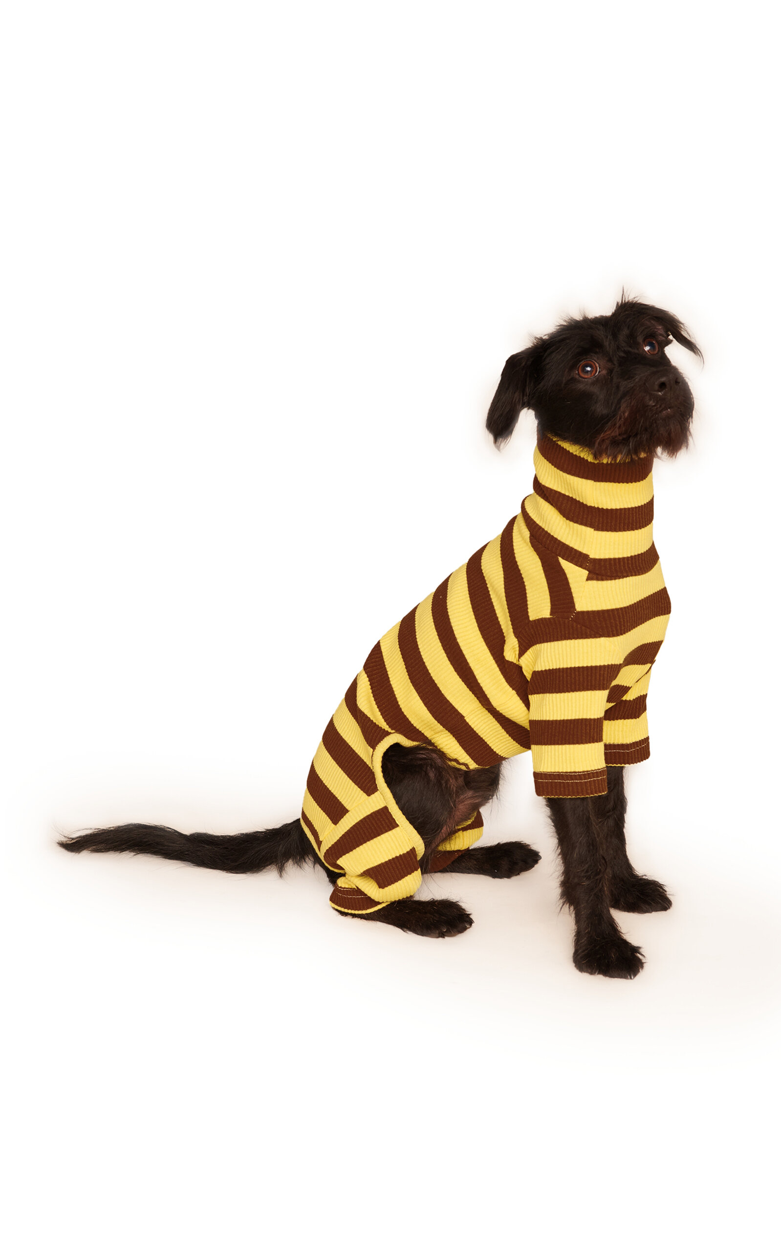 Little Beast Stretch-Cotton Dog Onesie - Stripe