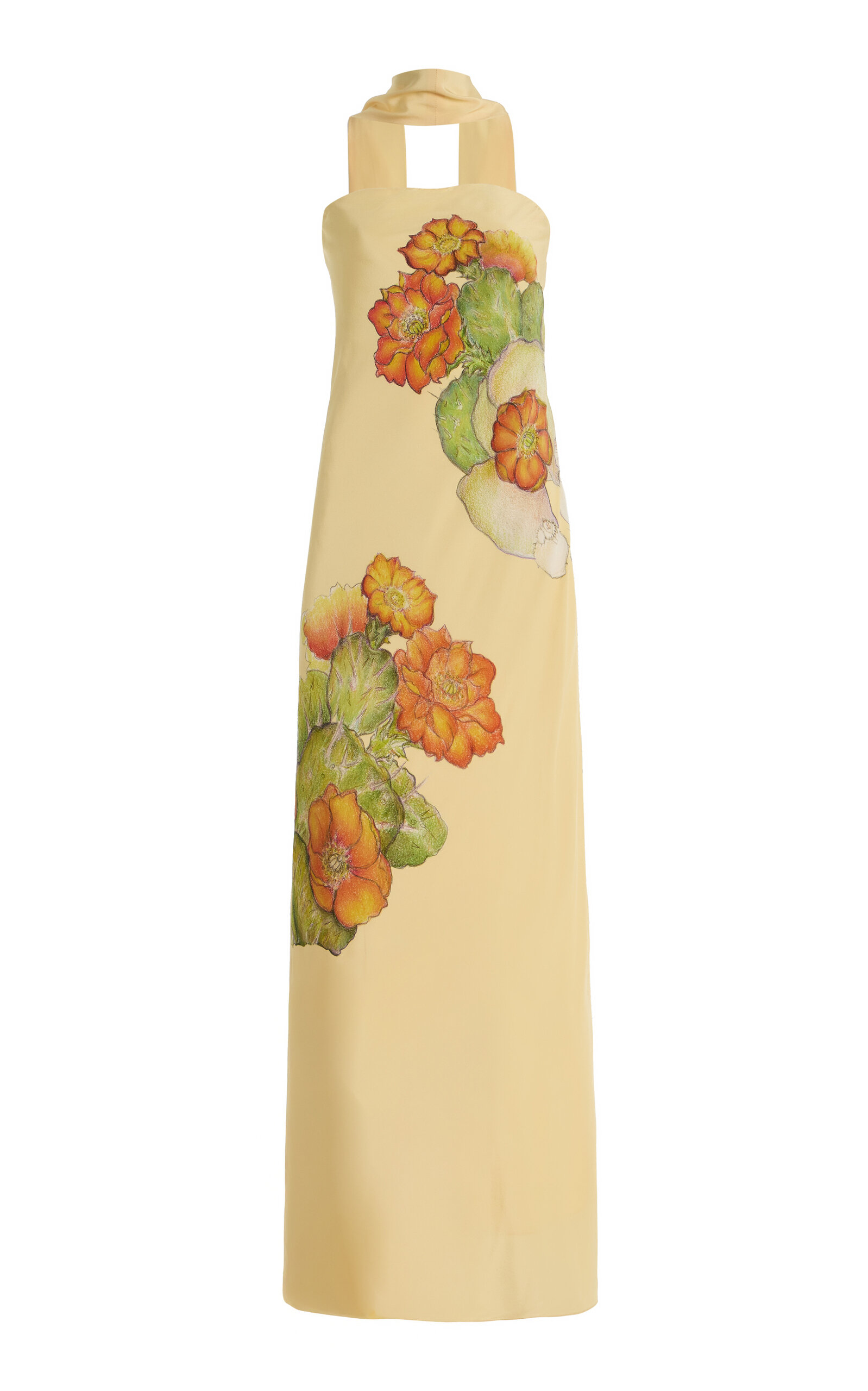 Rodarte Printed Silk Crepe Bias Maxi Dress