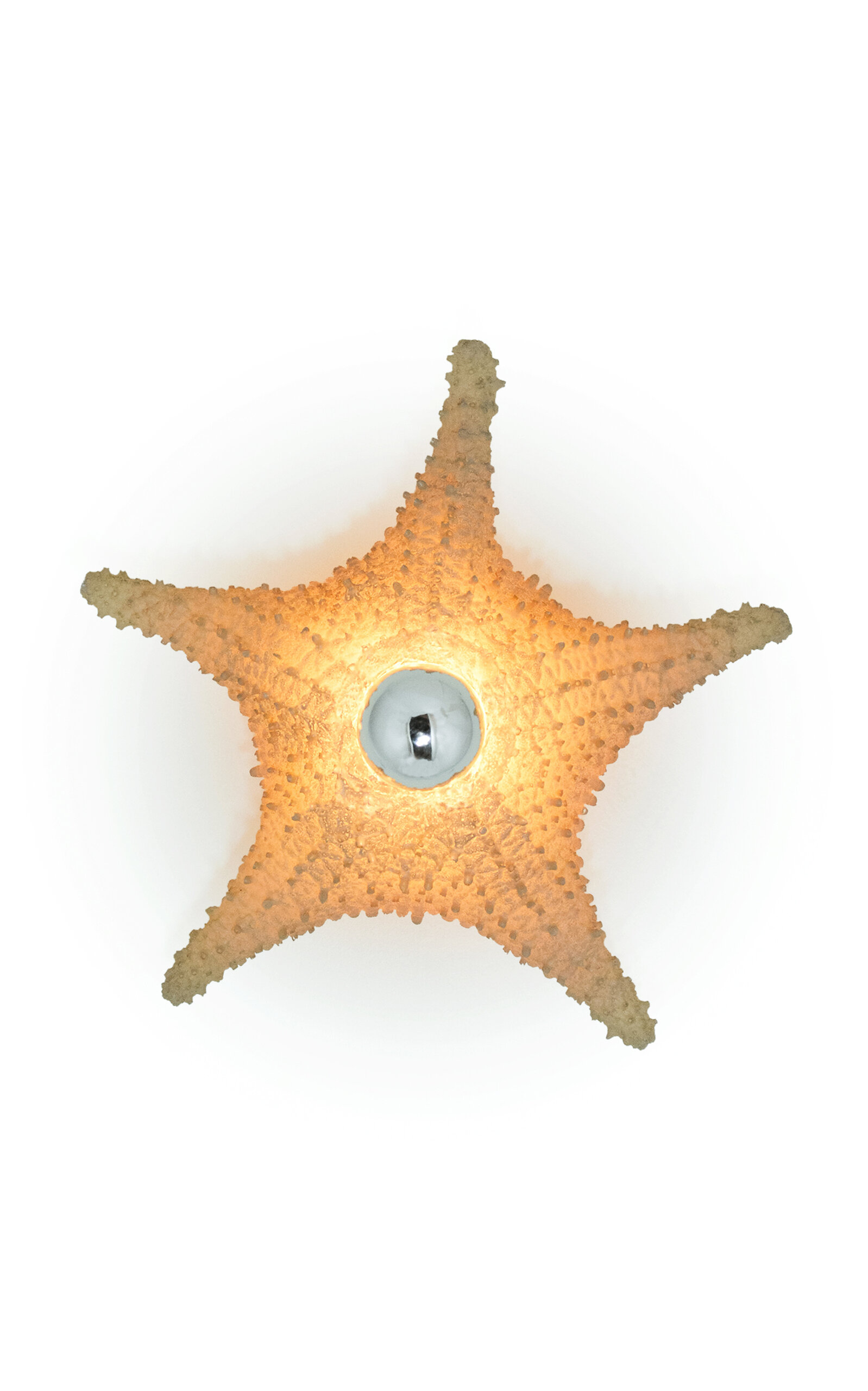Tennant New York Strella' Starfish Sconce - Tan