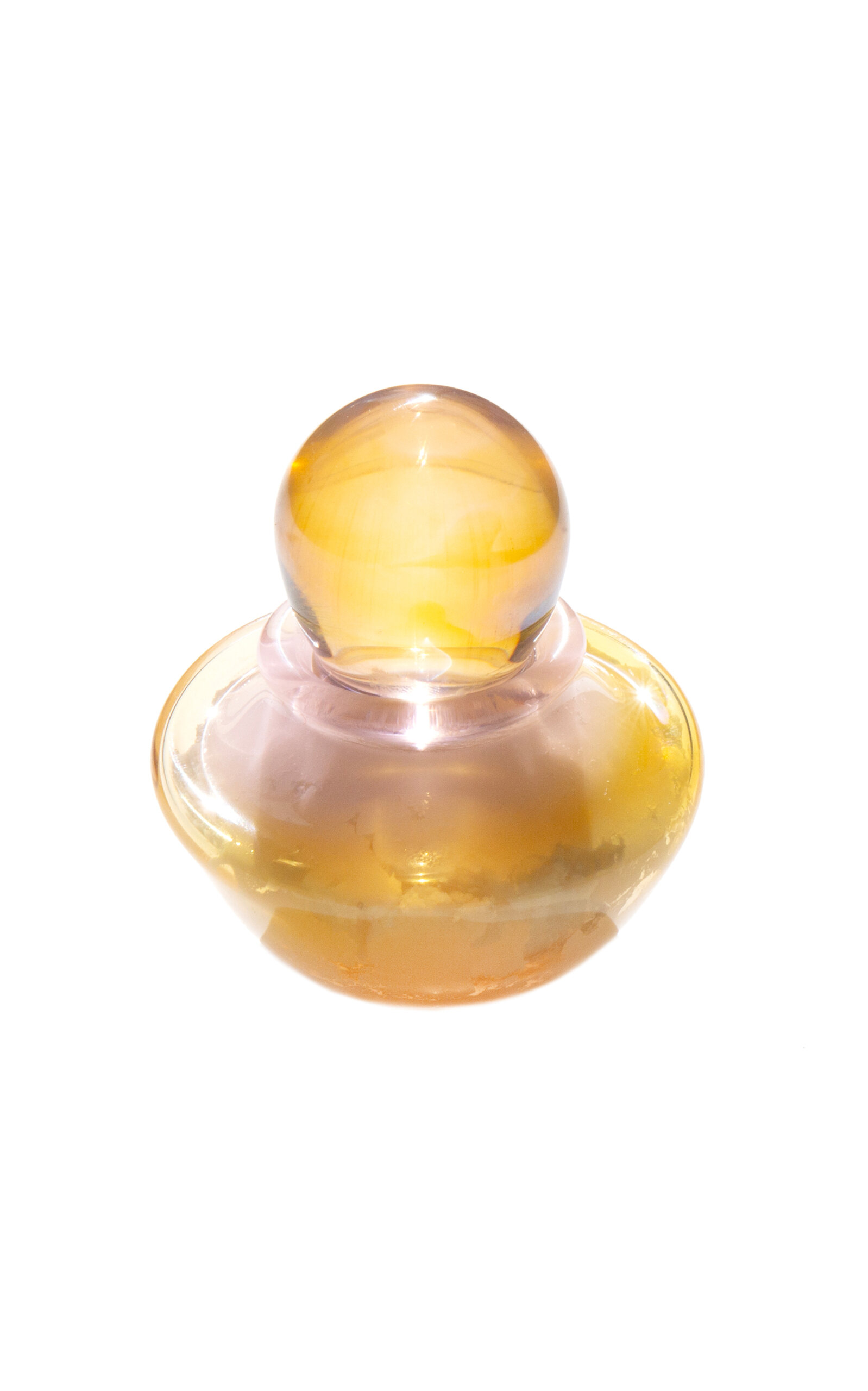 Kindred Black New Dawn Rose Créme