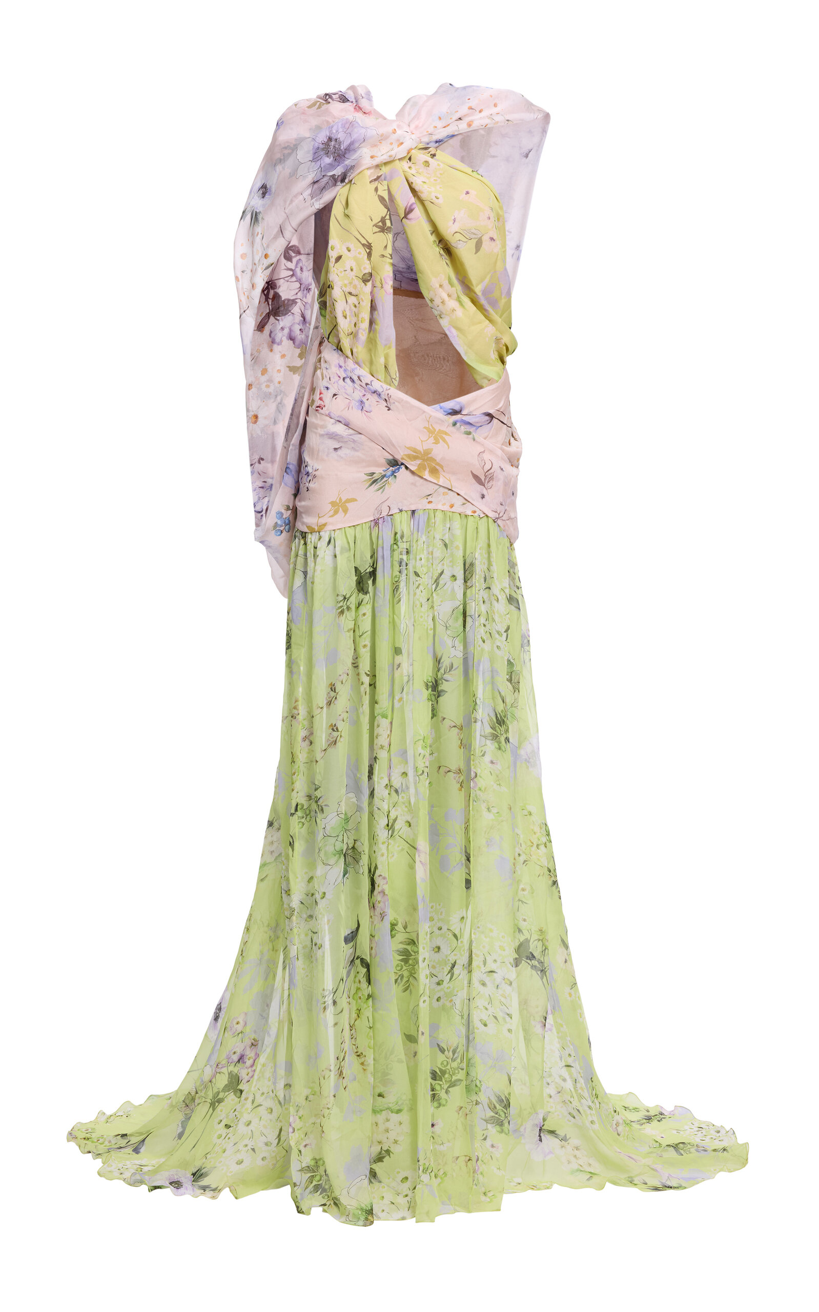 Elie Saab Printed Chiffon Long Dress In Multi