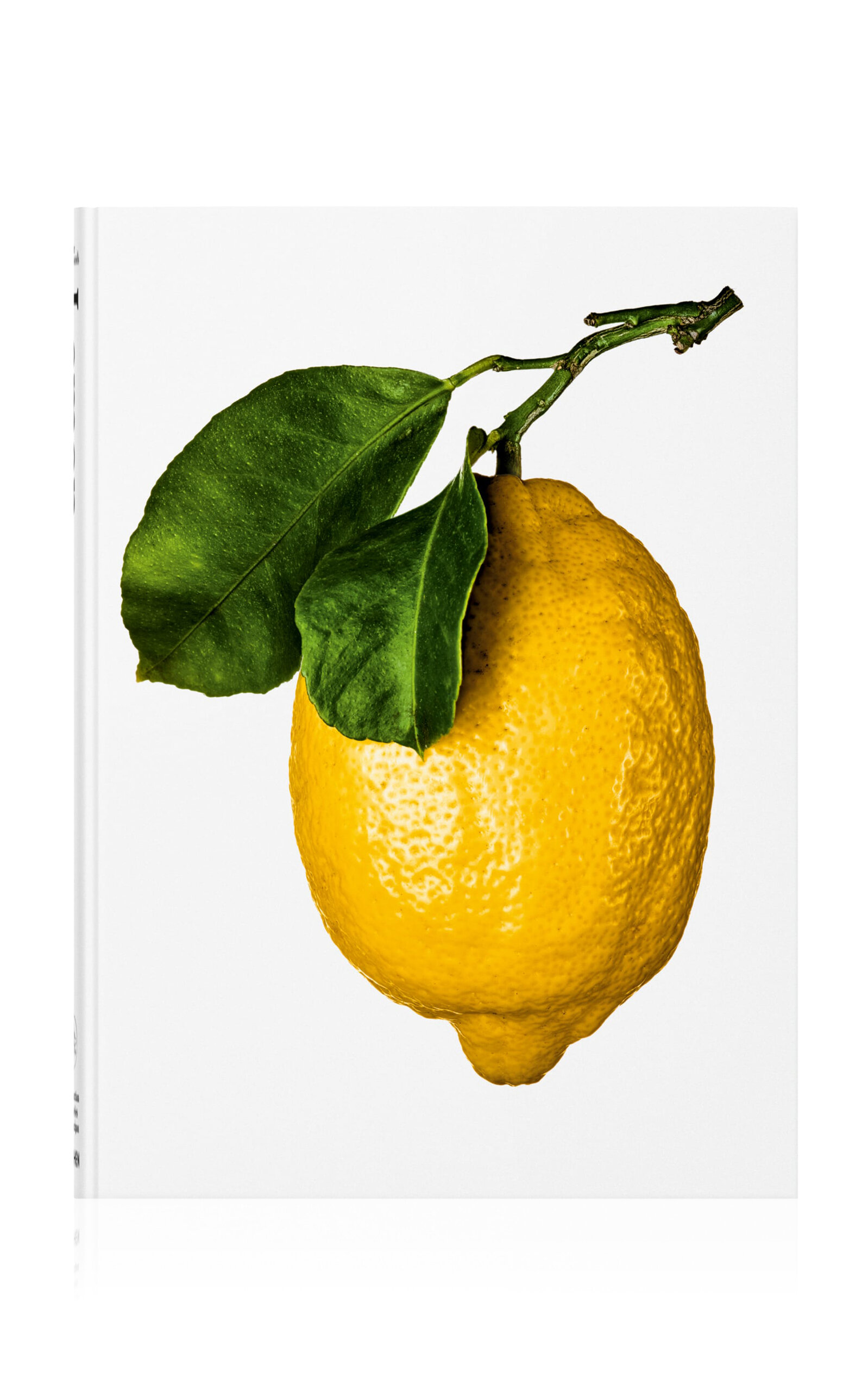 Taschen The Gourmand's Lemon: A Collection Of Stories And Recipes In White