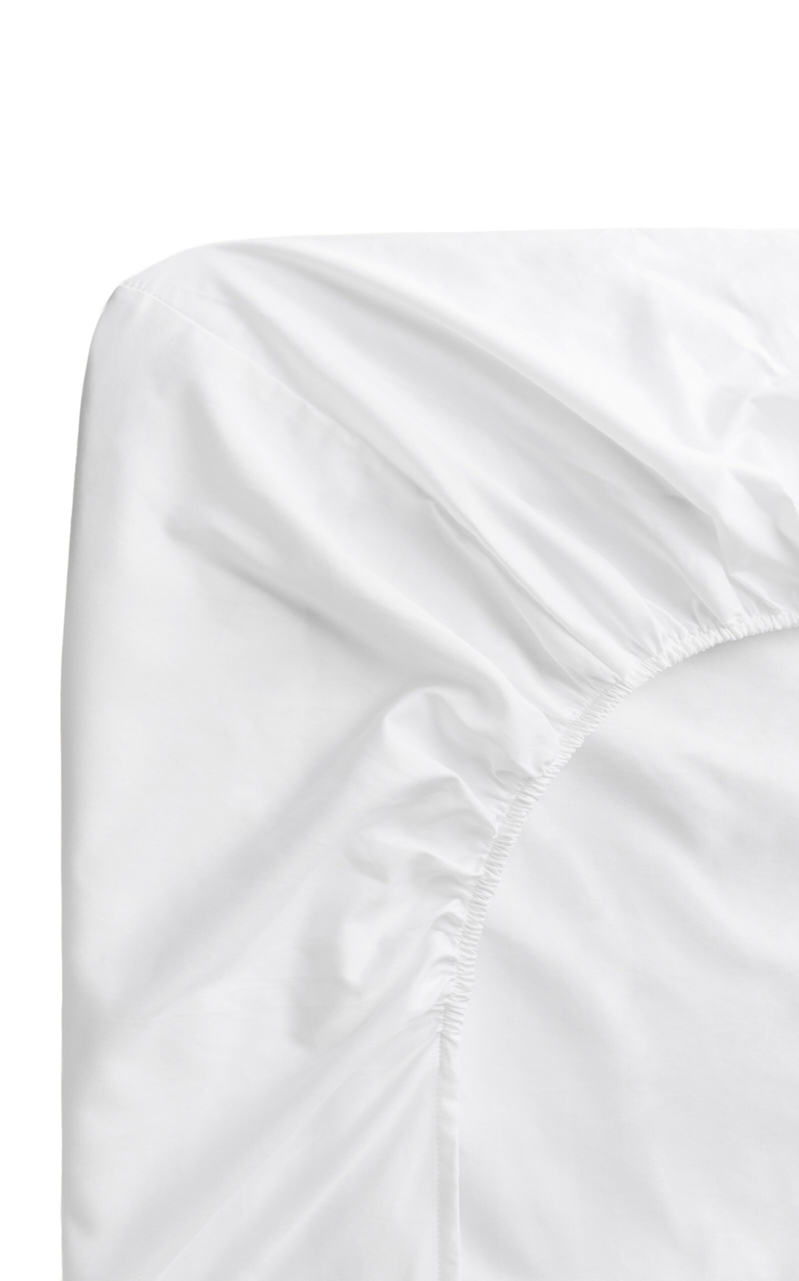 Nordic Knots Exclusive Percale Fitted King Sheet - White