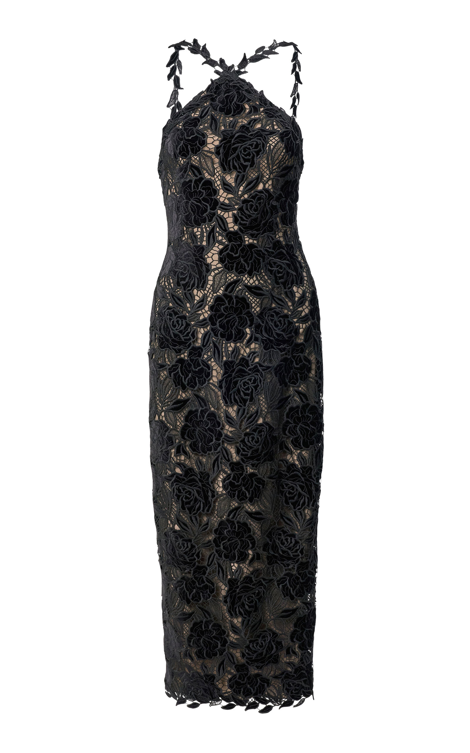 Carolina Herrera - Rose Velvet Lace Midi Dress - Black - US 0 - Moda Operandi