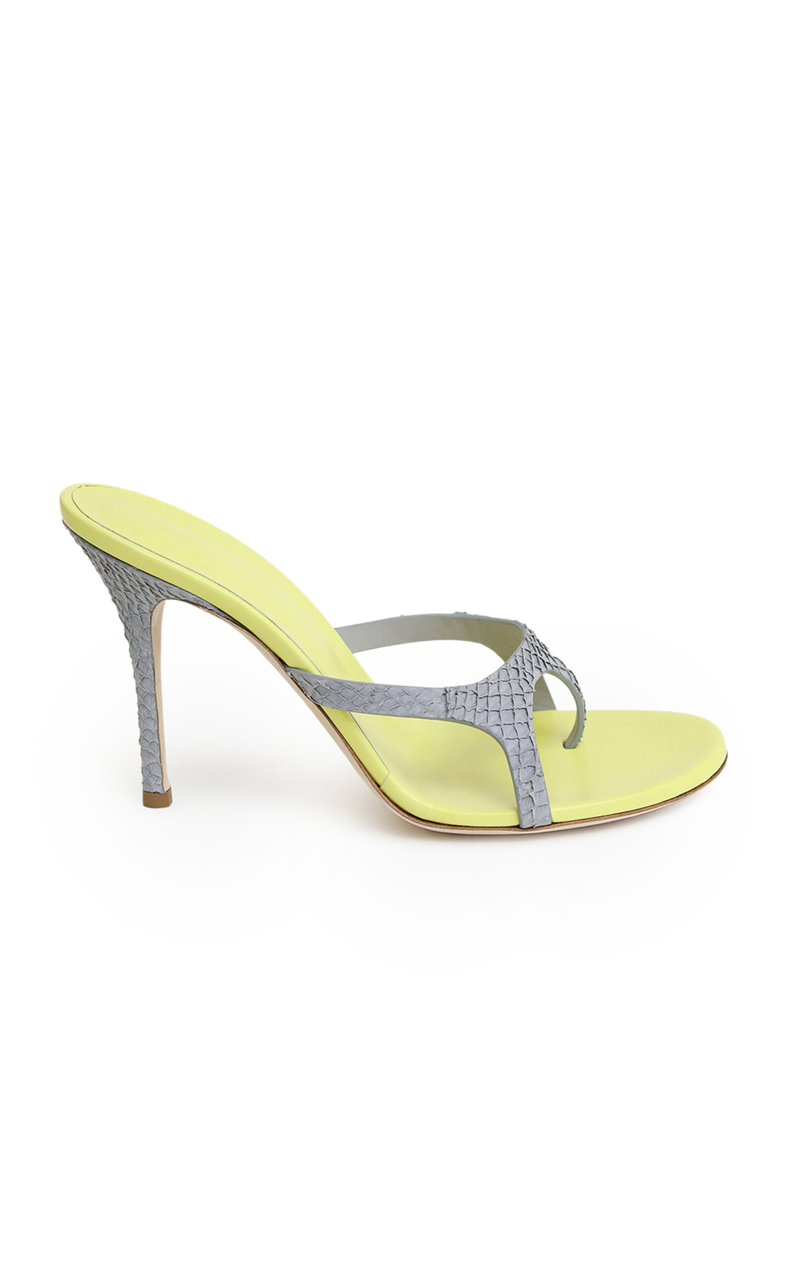 Alocasia Heels