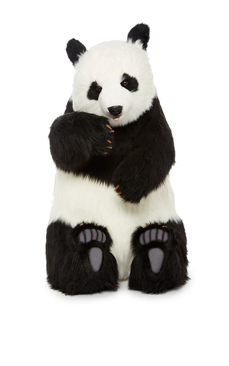 hansa panda