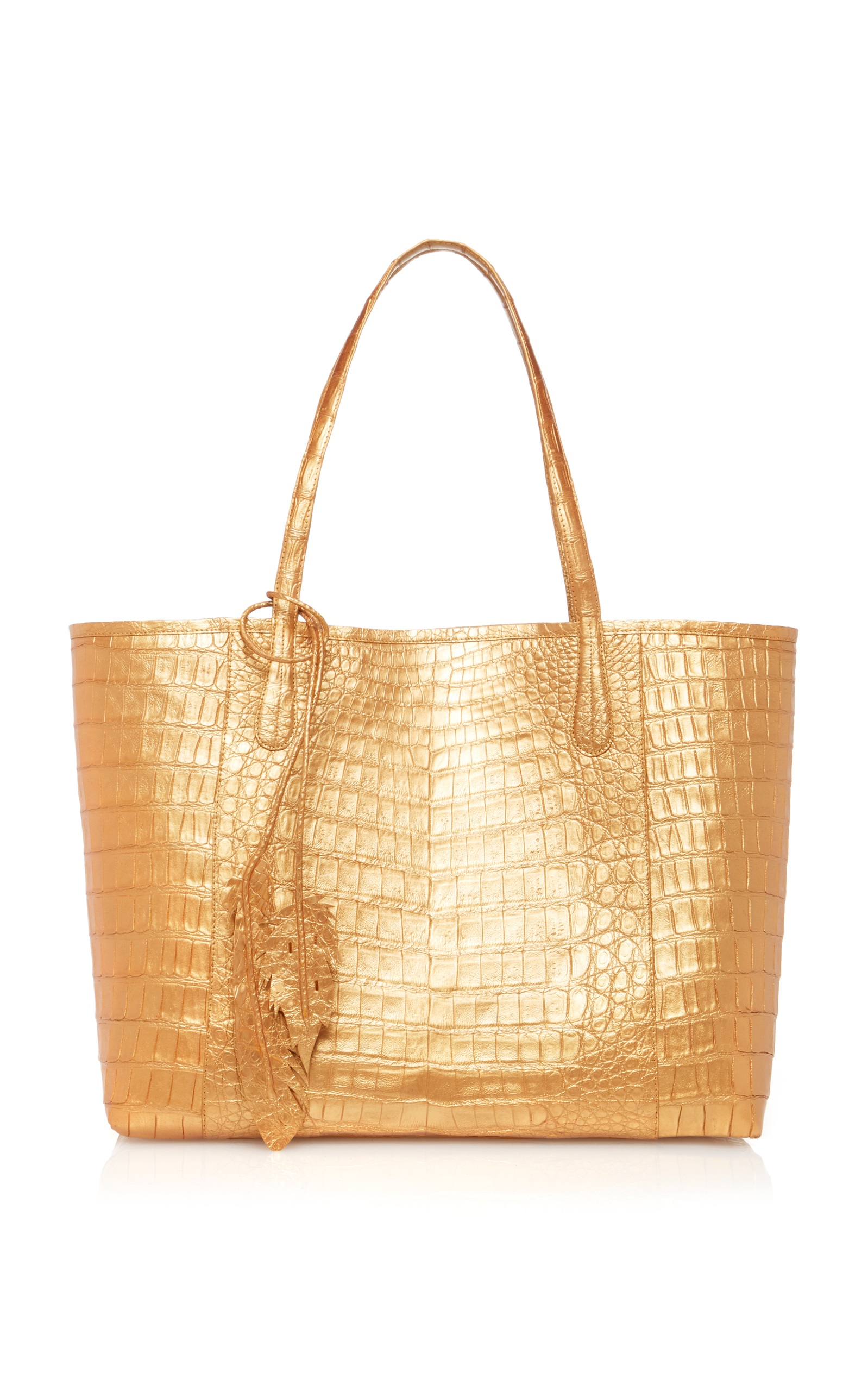 nancy gonzalez erica tote