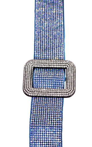 Venus Crystal-Embellished Waist Belt展示图
