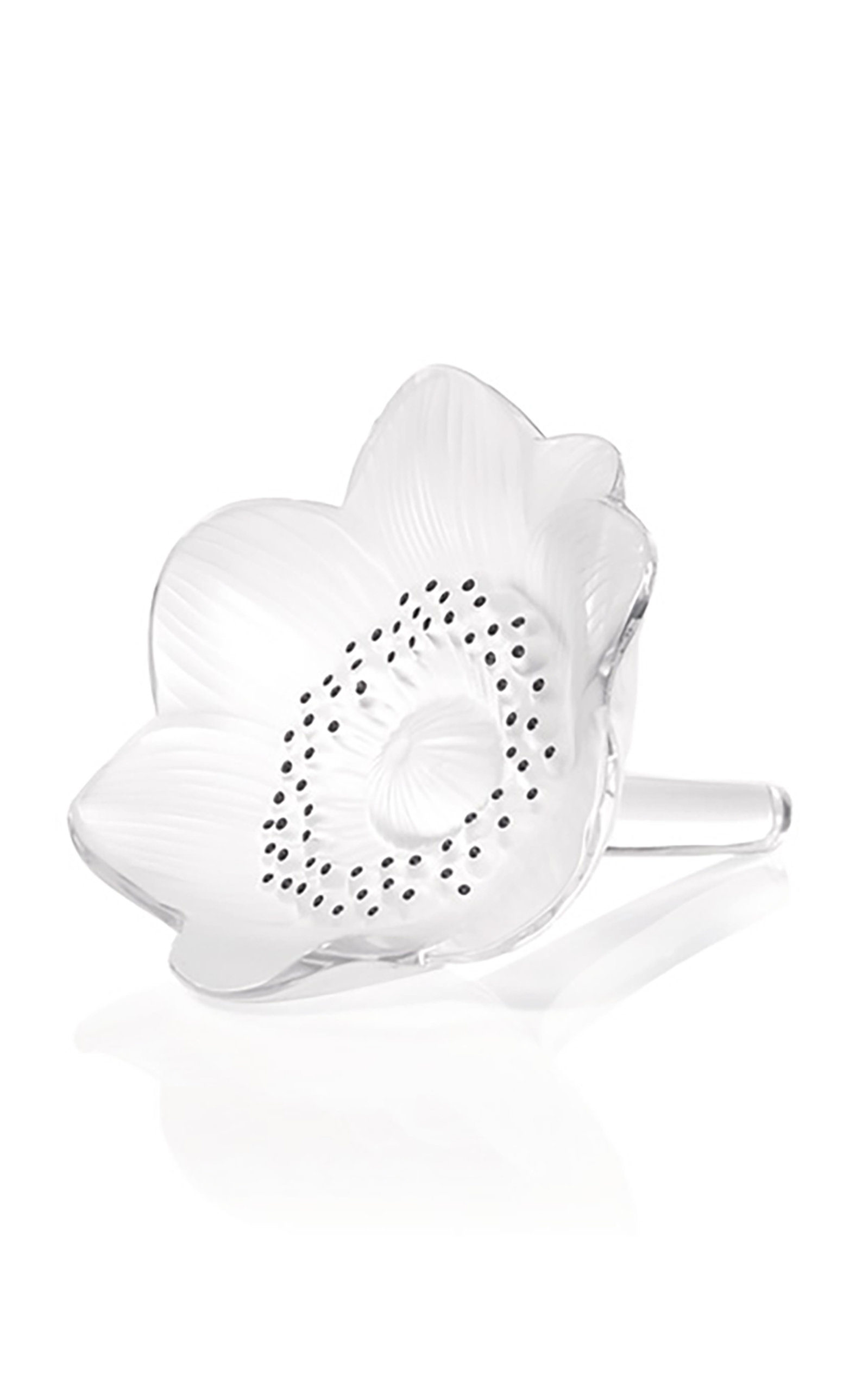 Lalique Anemone Flower Sculpture In Neutral