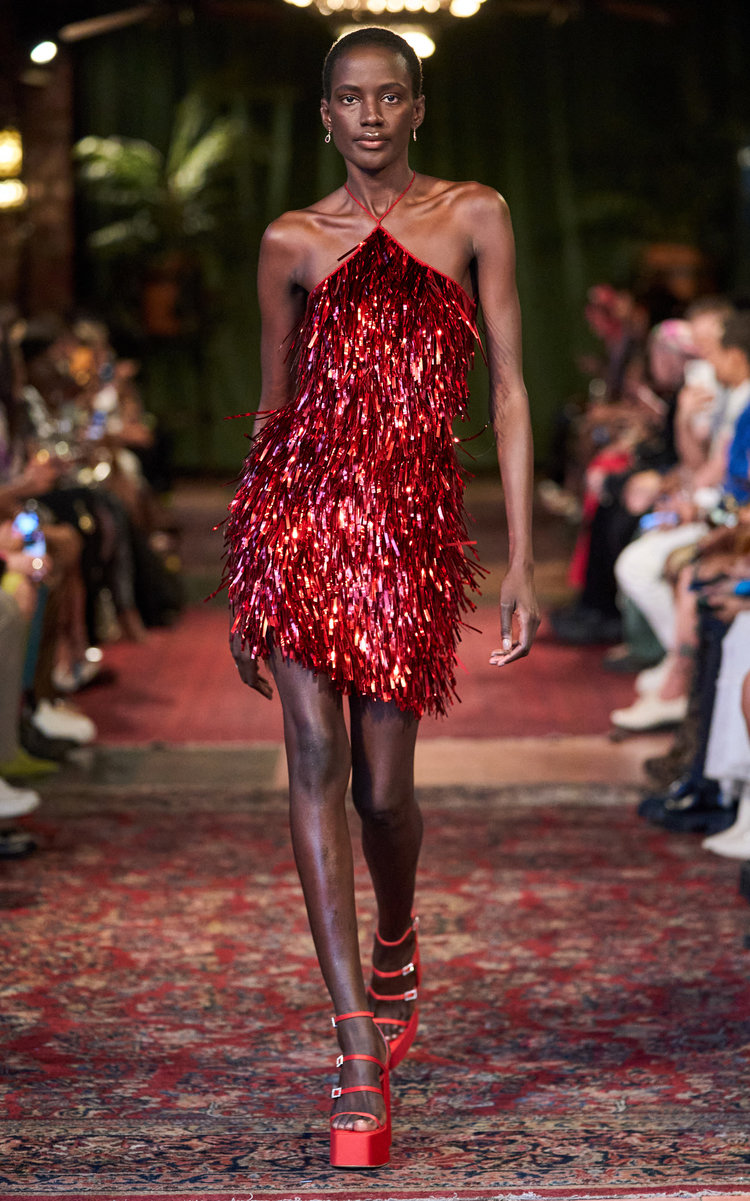 Cucculelli Shaheen Women's Metallic Fringed Mini Dress In Red