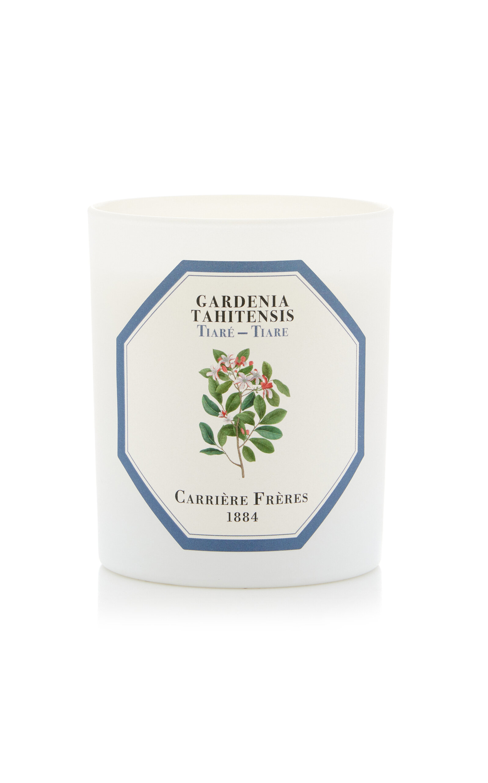 Carriere Freres Gardenia Tahitensis Candle In Neutral