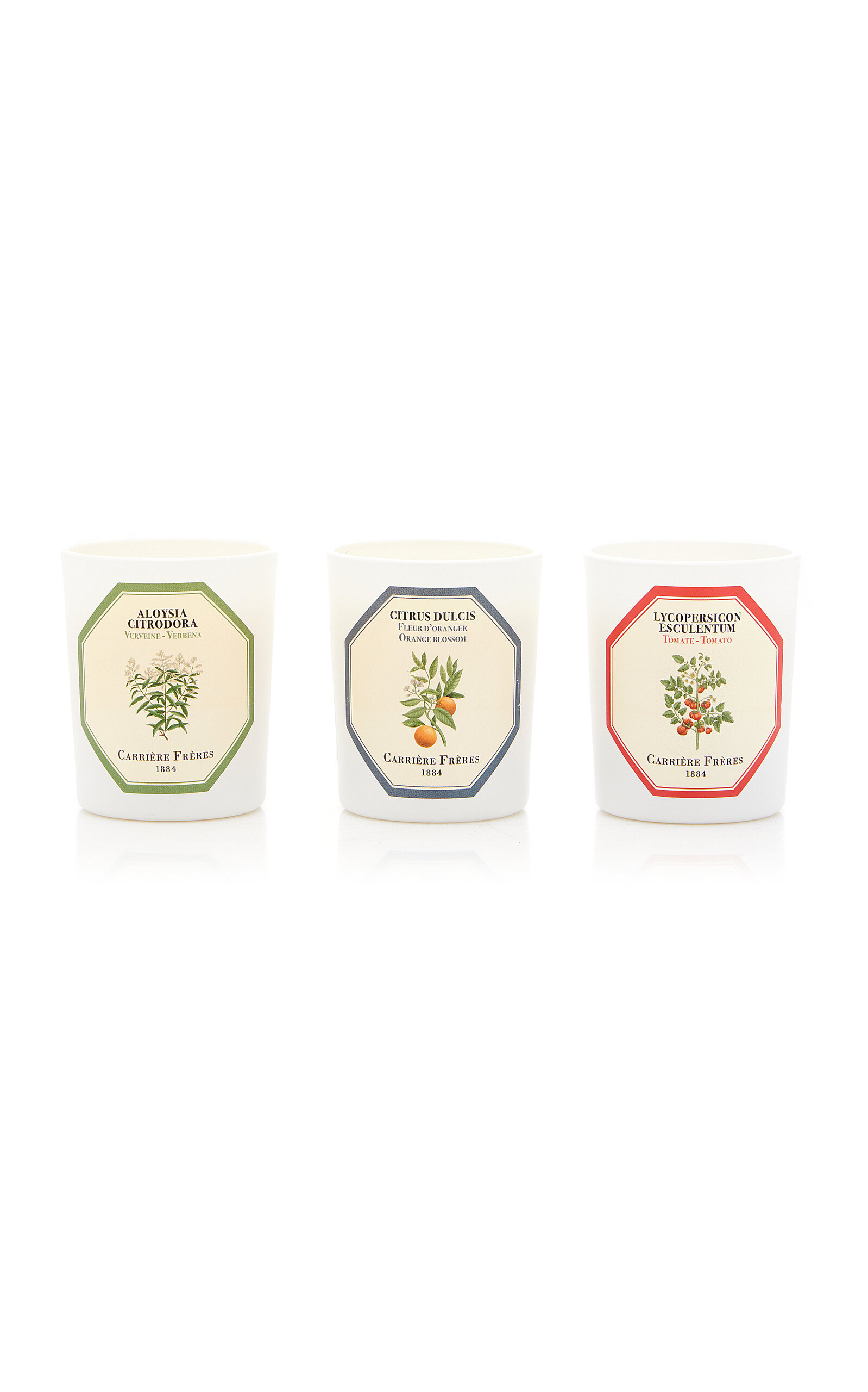 Carriere Freres Limited Edition Set-of-three Botanical Candles In Neutral