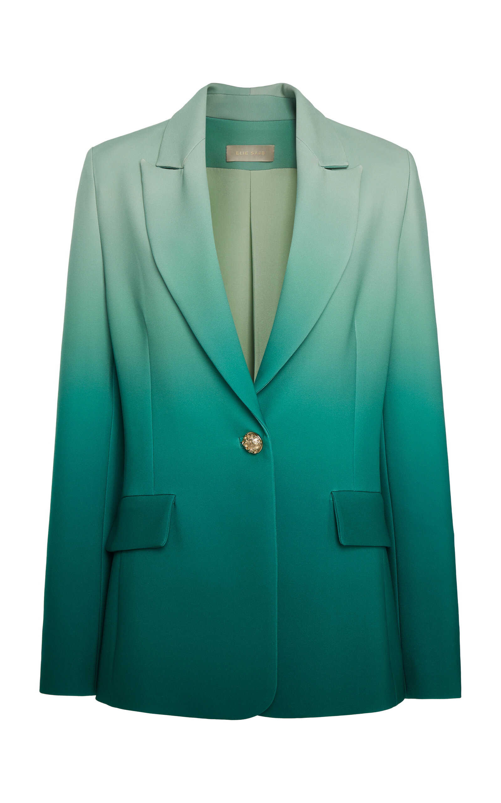 Elie Saab Ombre Cady Single-breasted Blazer In Green