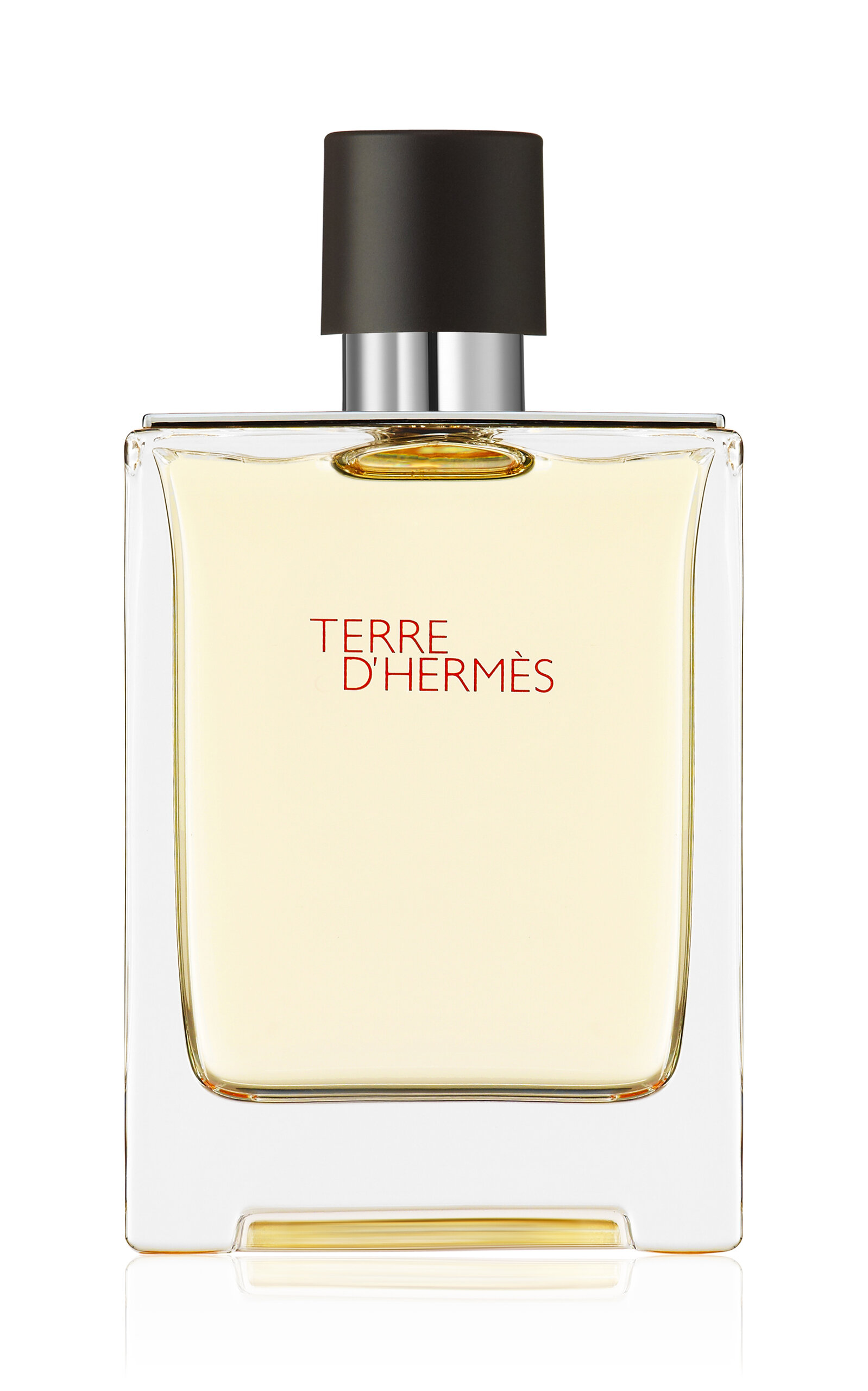 Hermès Beauty Terre d'Hermès Eau de Toilette