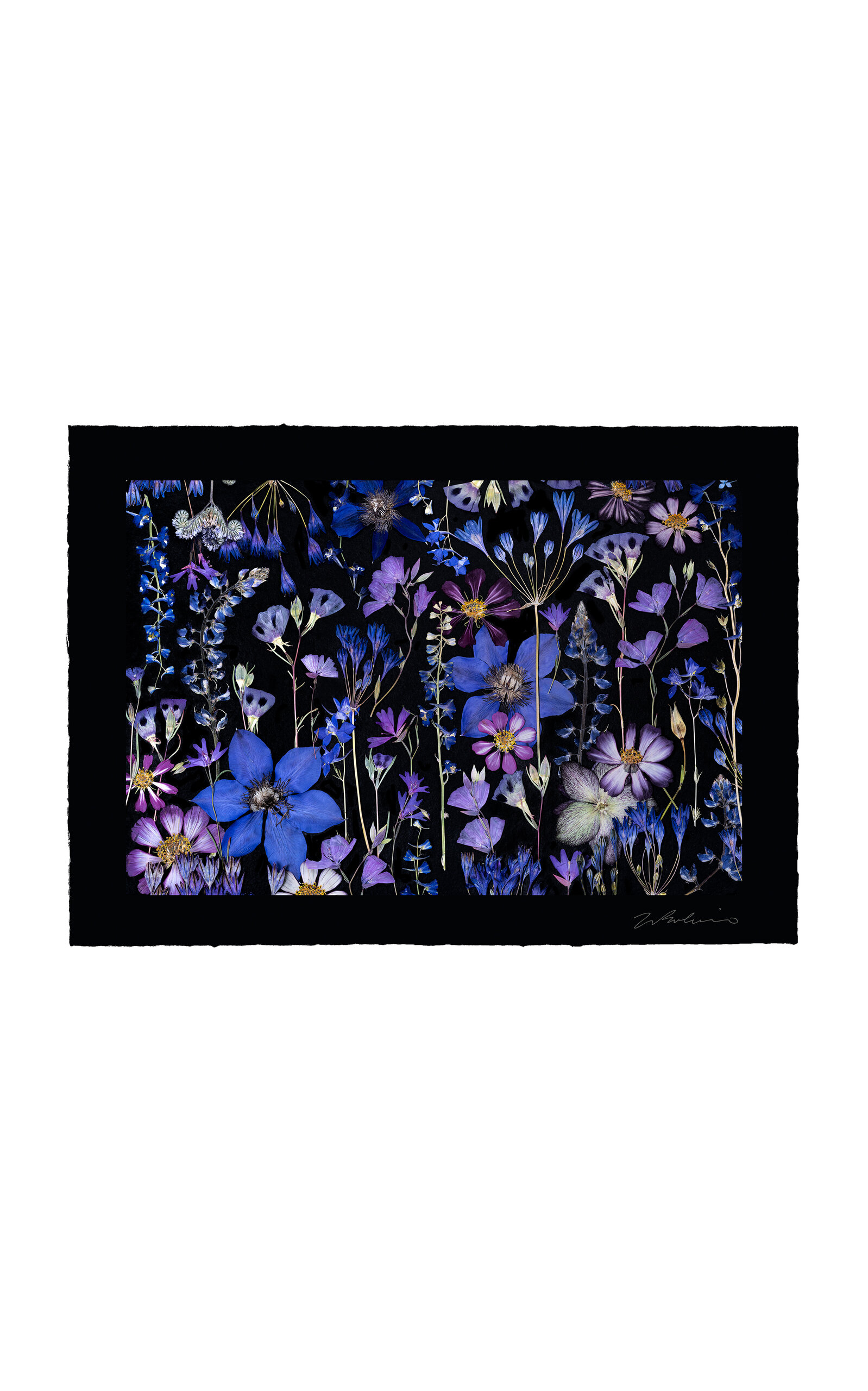 Domain Of The Flowerings Sapphire Sky Limited Edition Archival Pigment Print In Multi
