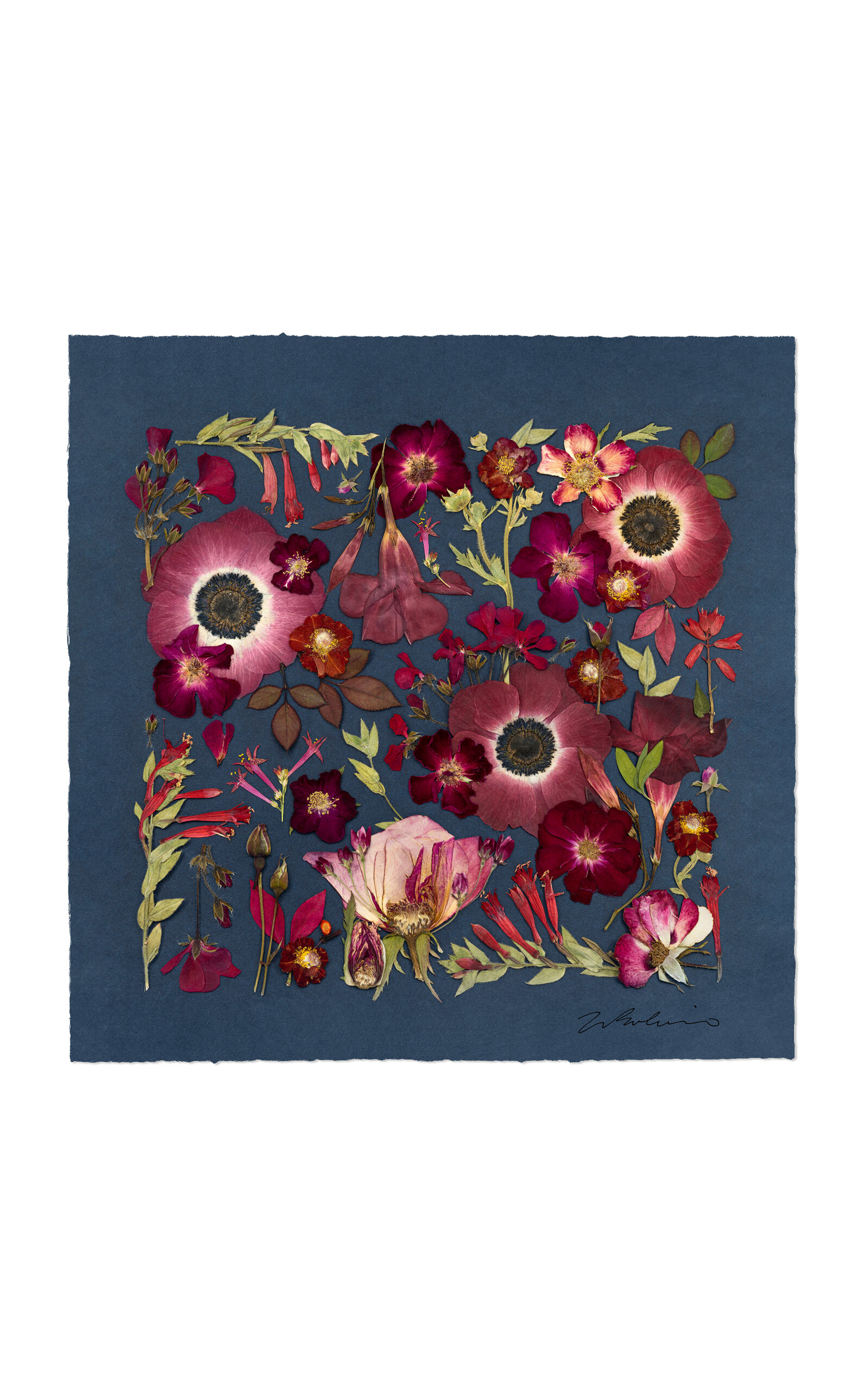 Domain Of The Flowerings Jewels Of The Garden Limited Edition Archival Pigment Print In Multi
