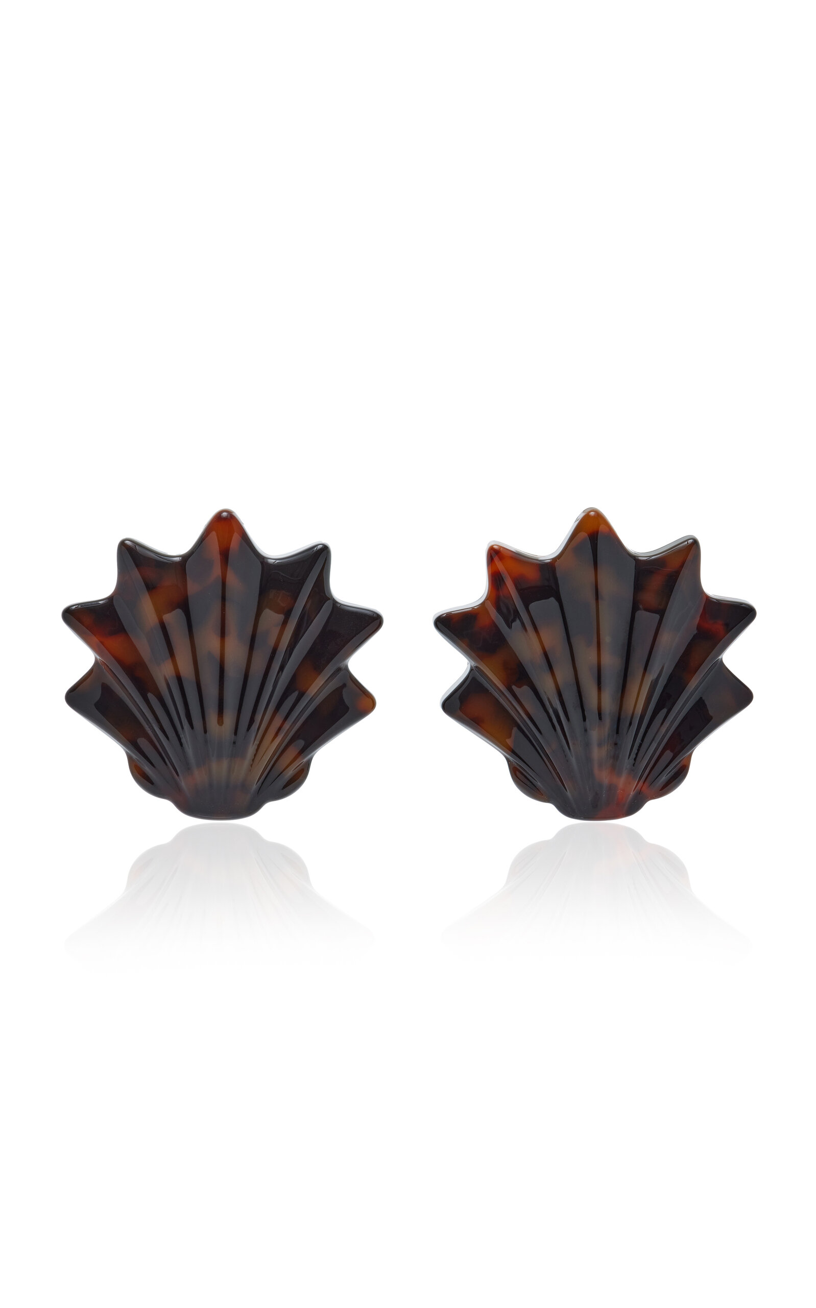 Exclusive Shell Earrings