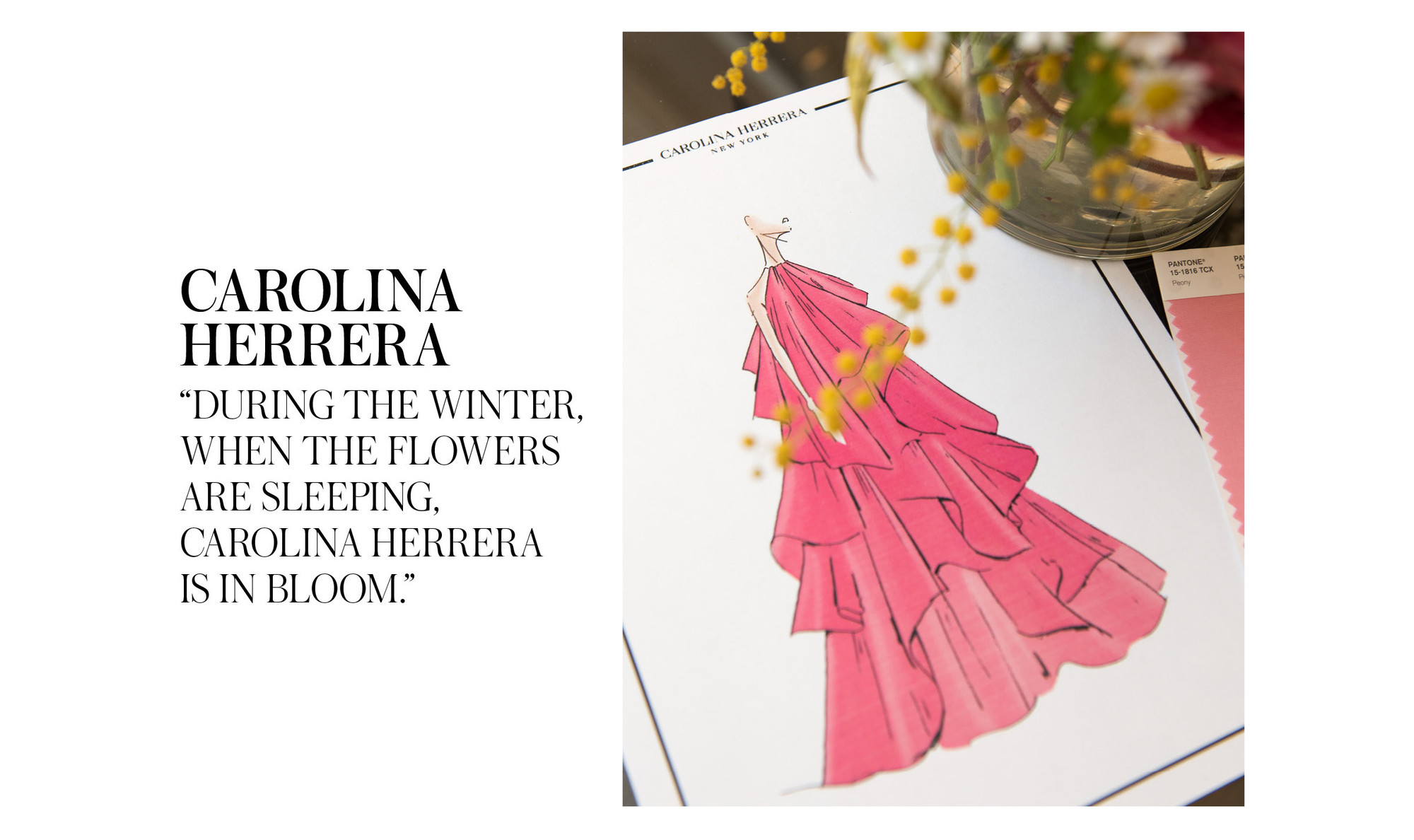 Carolina Herrera Fall/ Winter 2019 collection at Moda Operandi