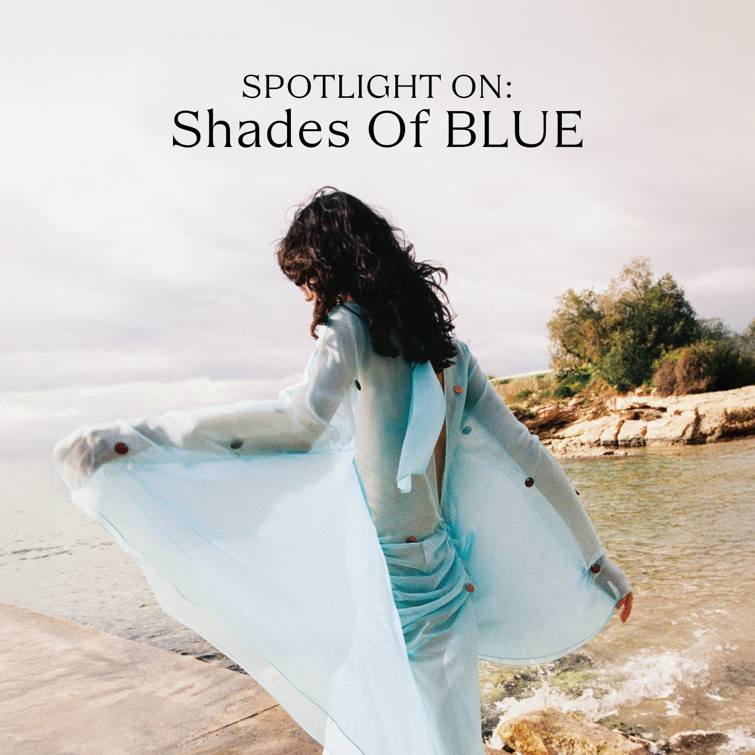 Spotlight On: Shades Of Blue | Moda Operandi